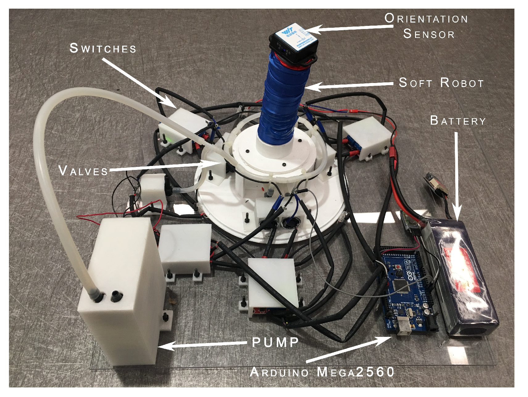 Biomimetics 09 00323 g004