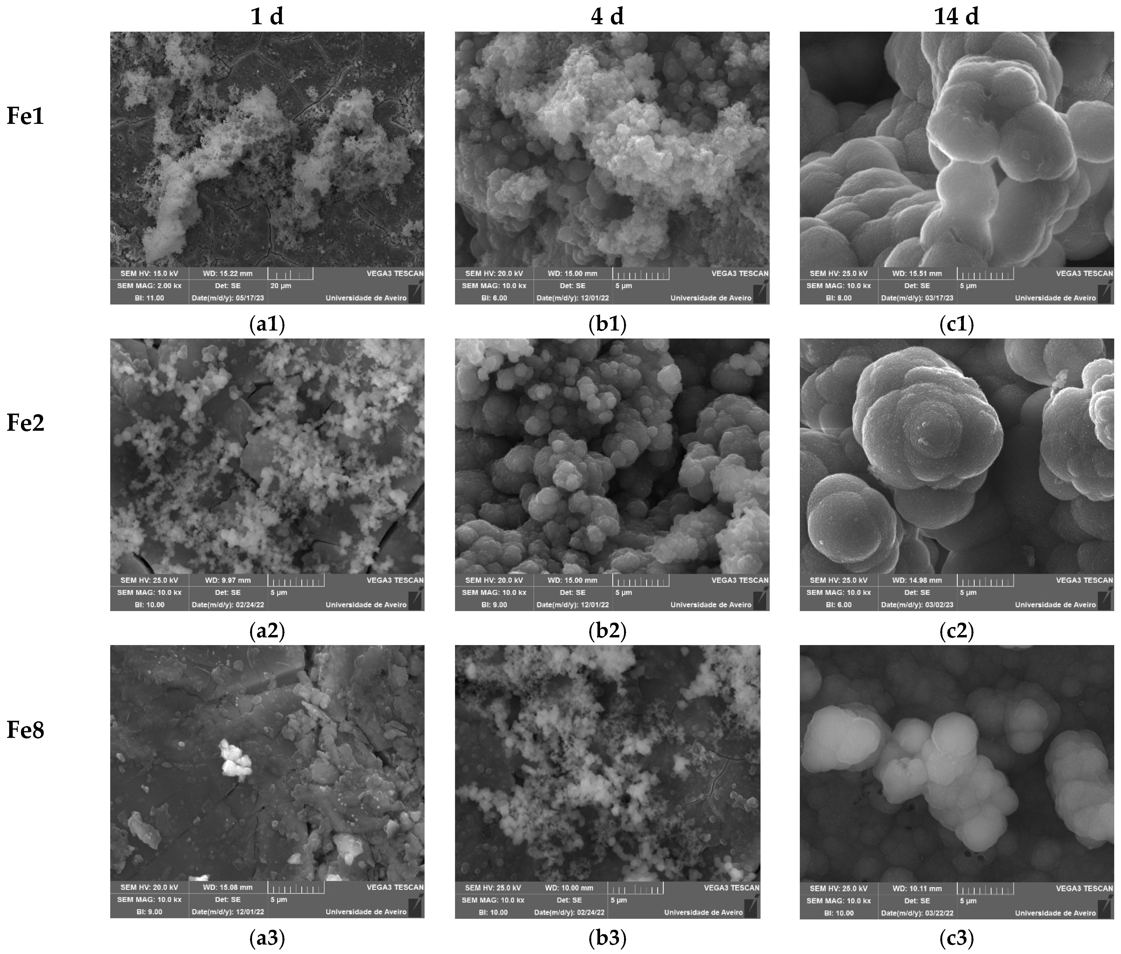 Biomimetics 09 00325 g006