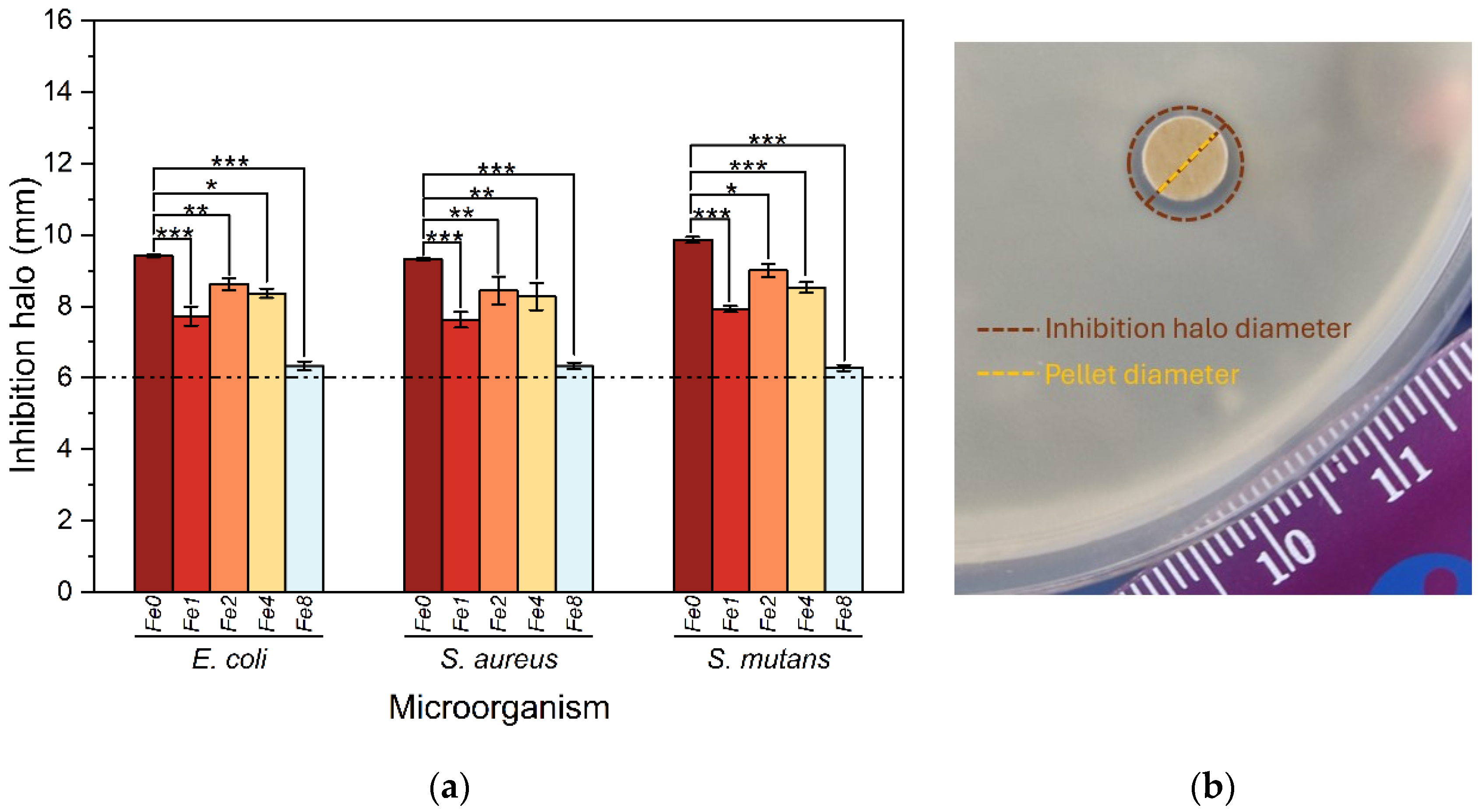 Biomimetics 09 00325 g010