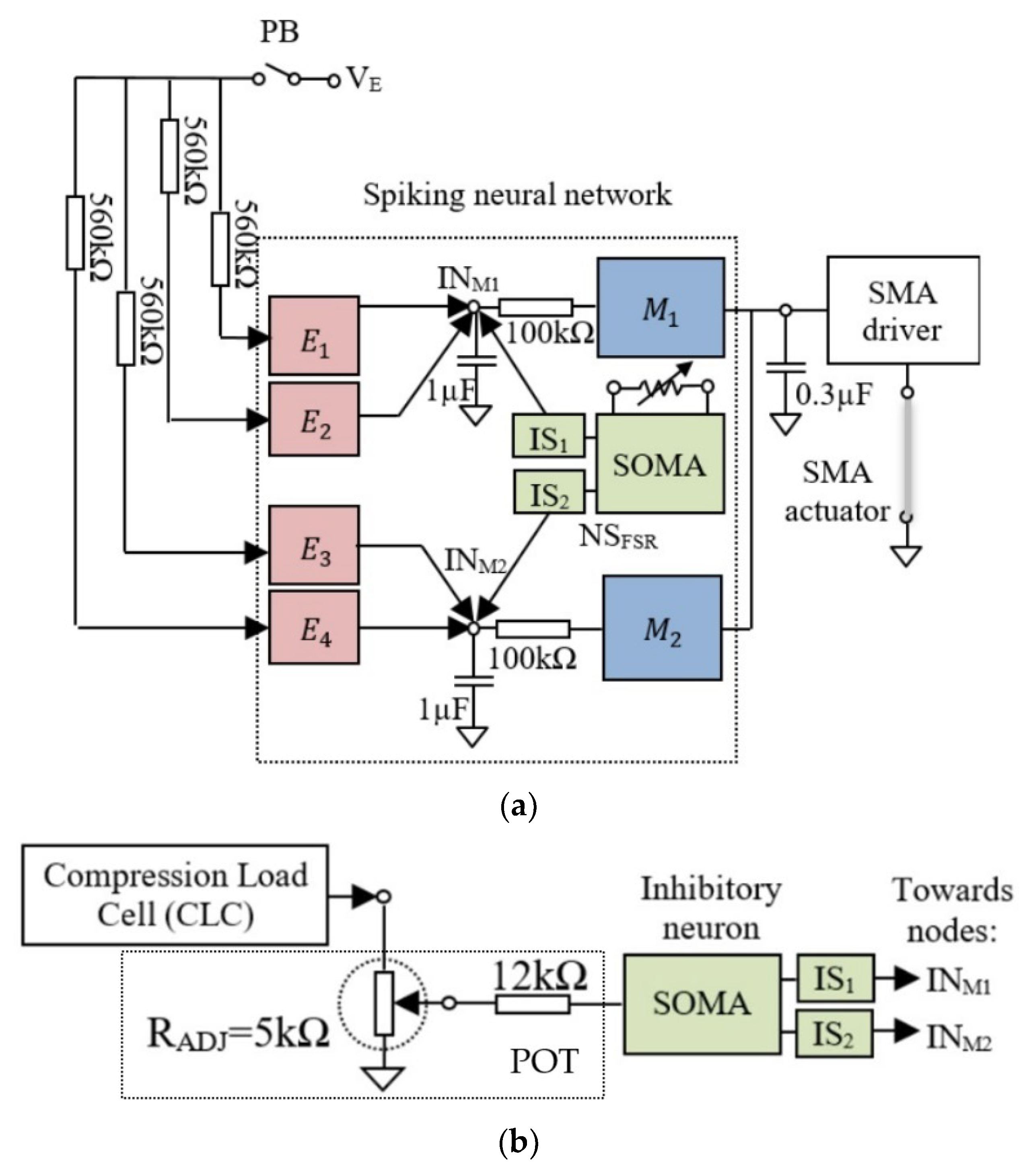 Biomimetics 09 00326 g002