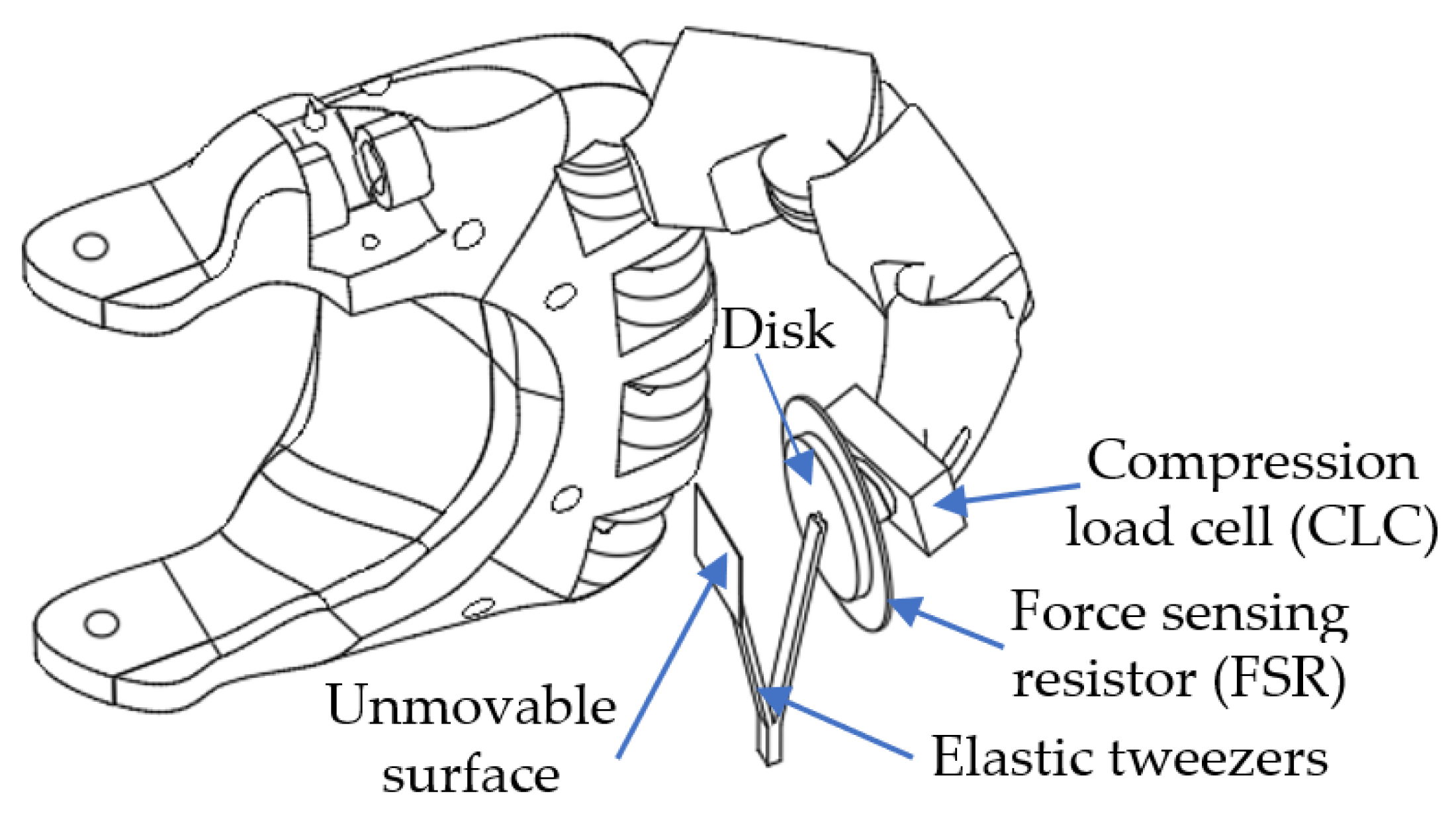 Biomimetics 09 00326 g003