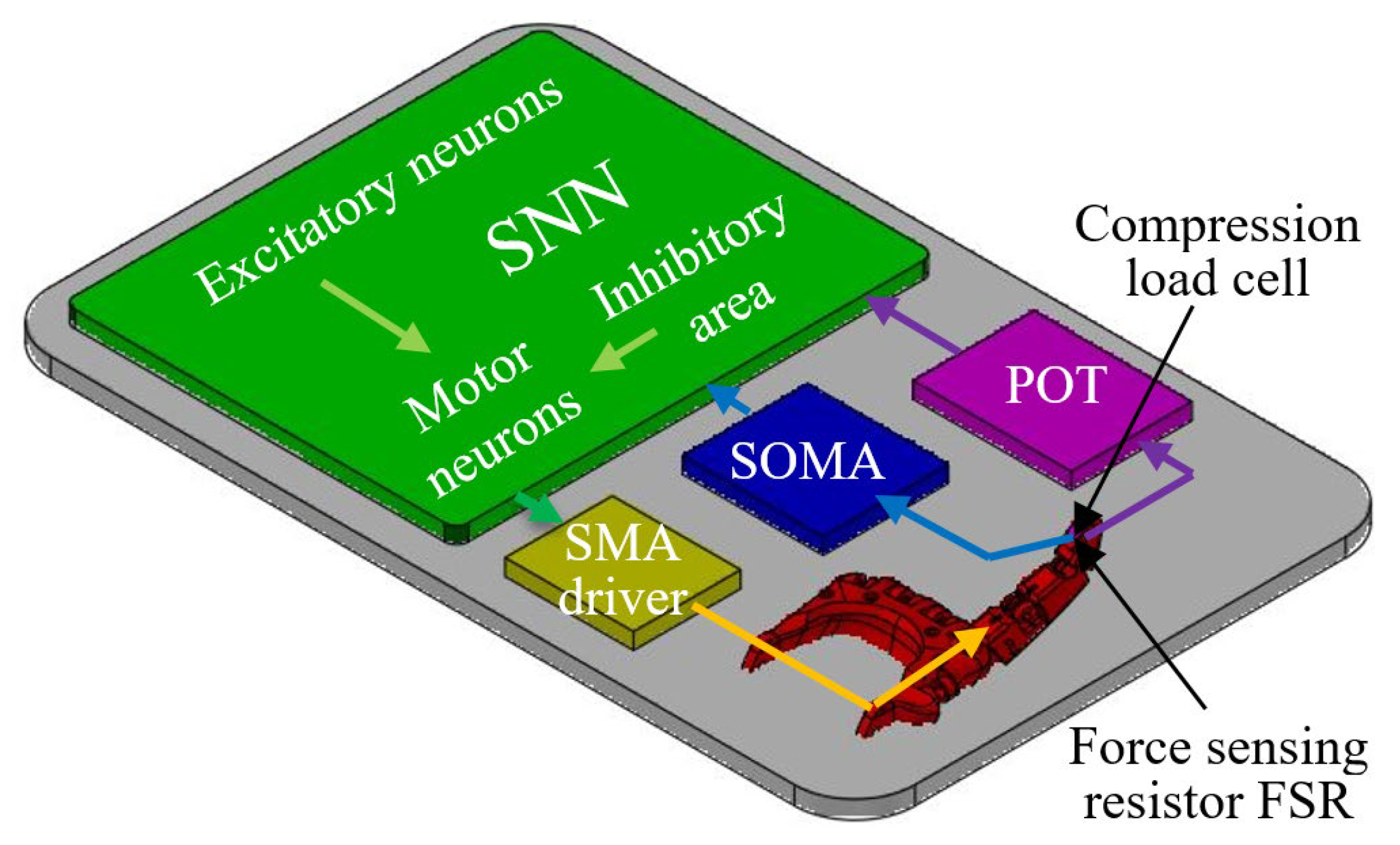 Biomimetics 09 00326 g004