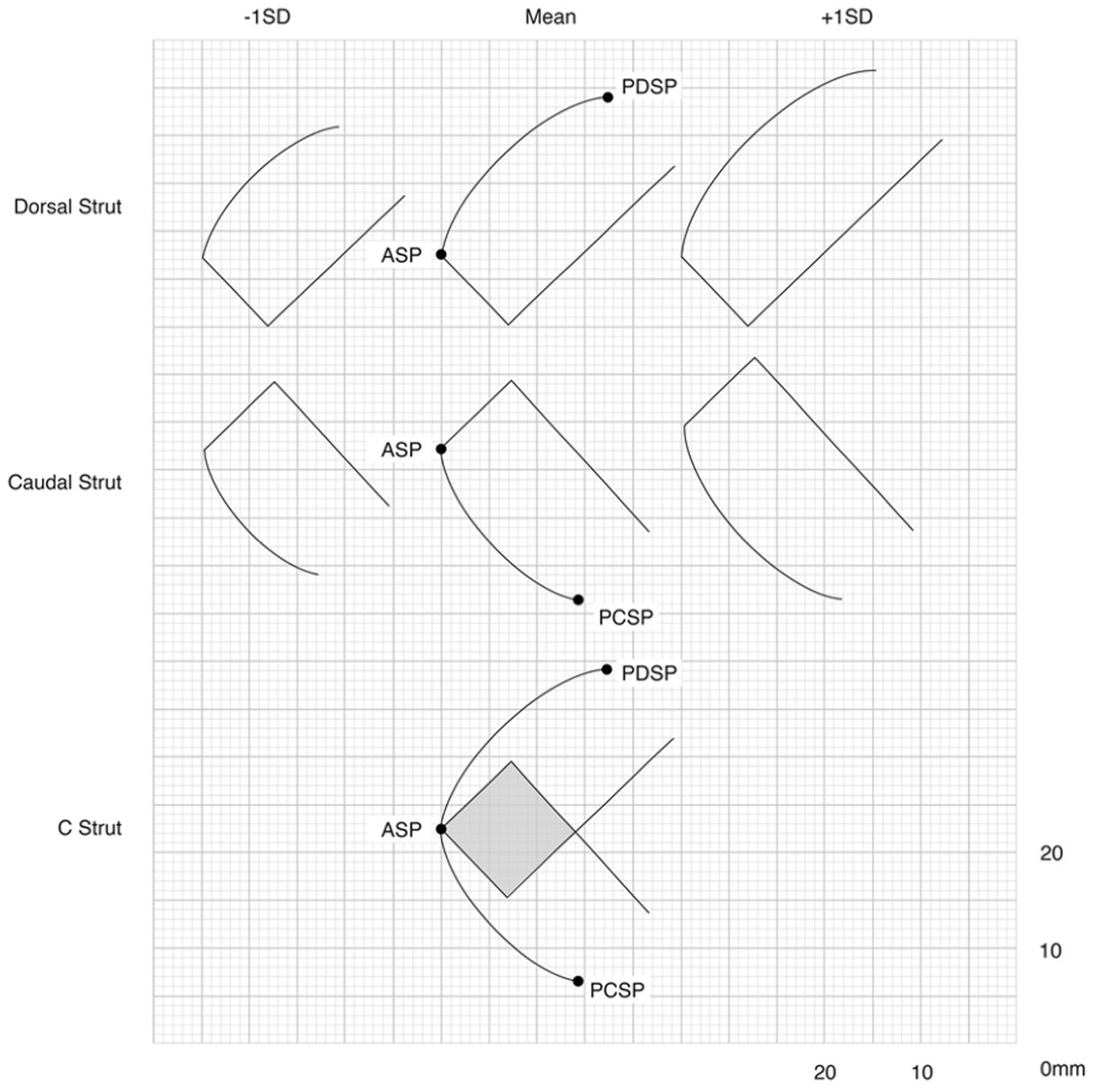 Biomimetics 09 00327 g004
