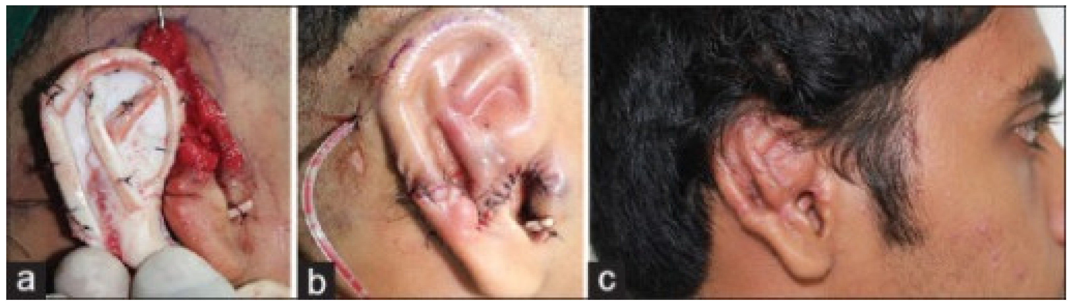 Biomimetics 09 00327 g005