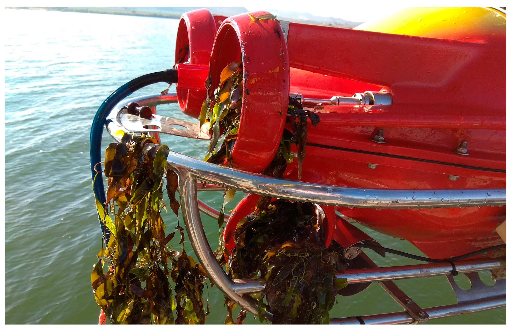 Biomimetics 09 00329 g010