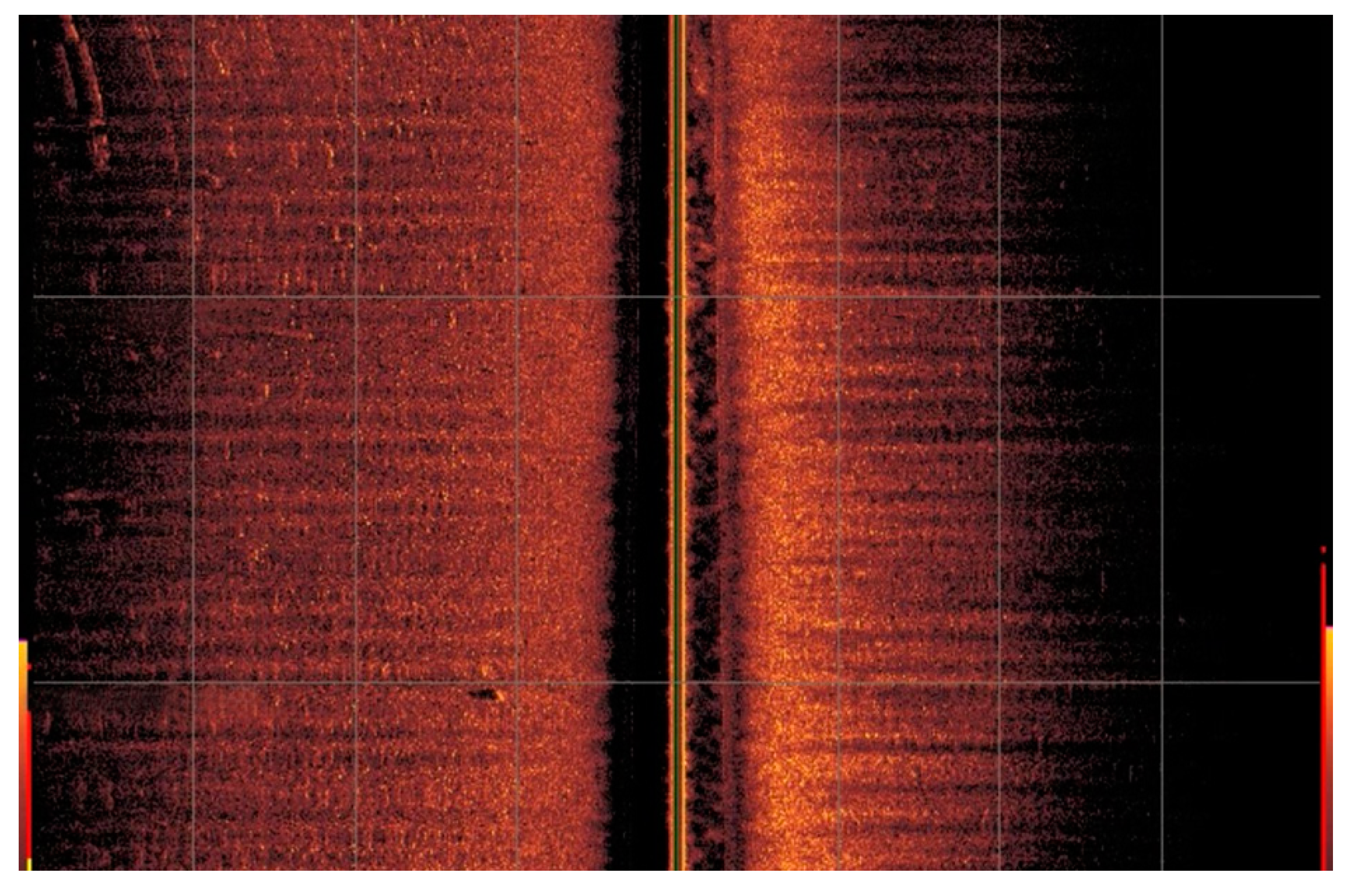 Biomimetics 09 00329 g012