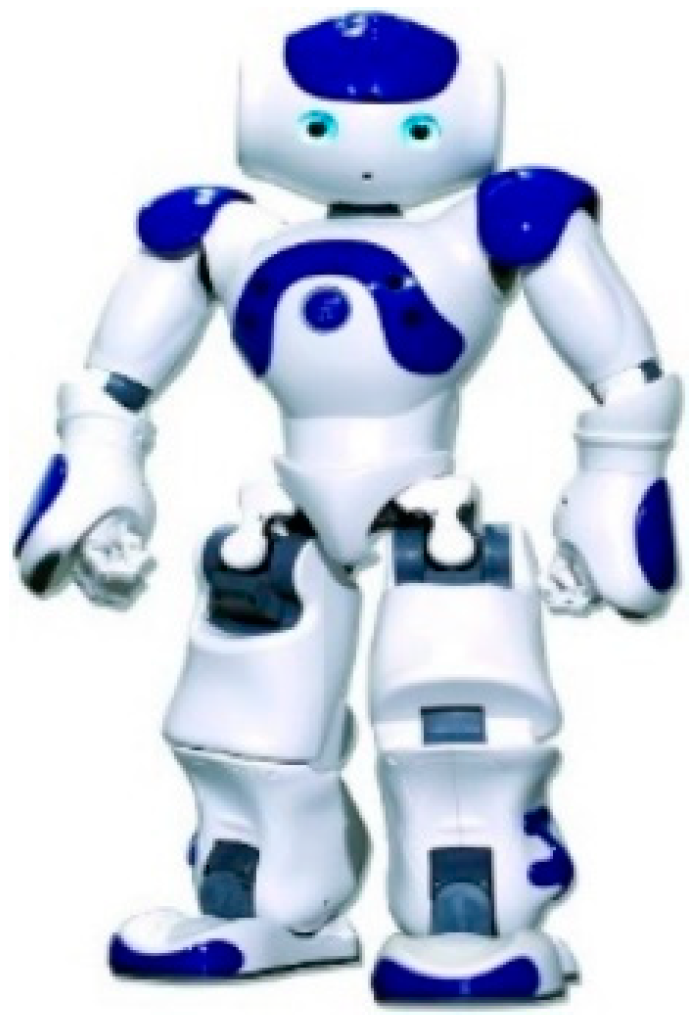 Biomimetics 09 00332 g001