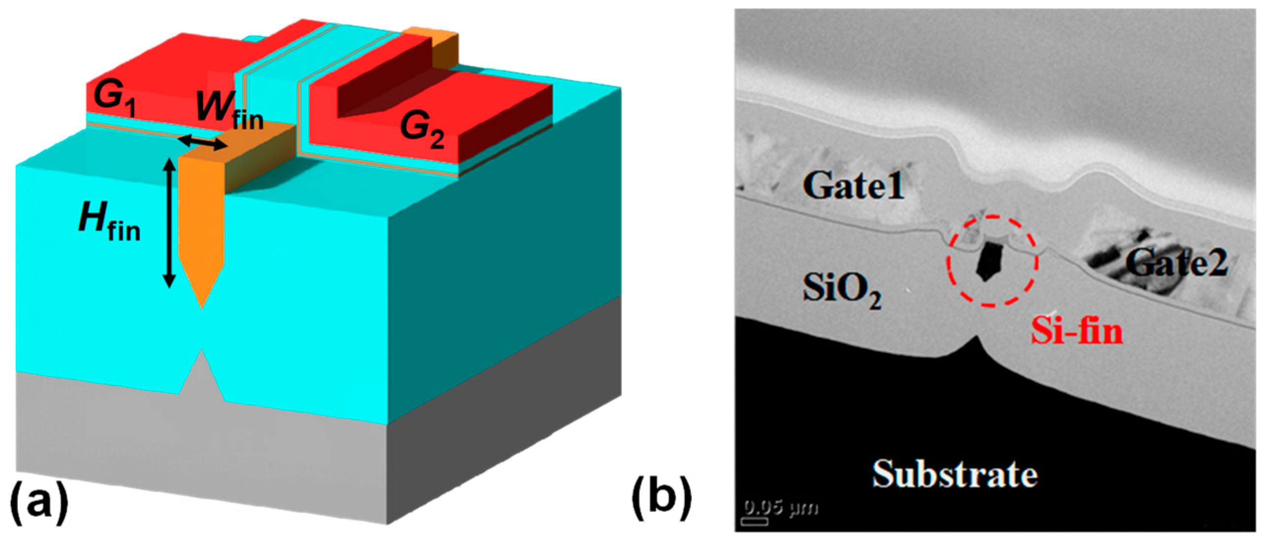 Biomimetics 09 00335 g003