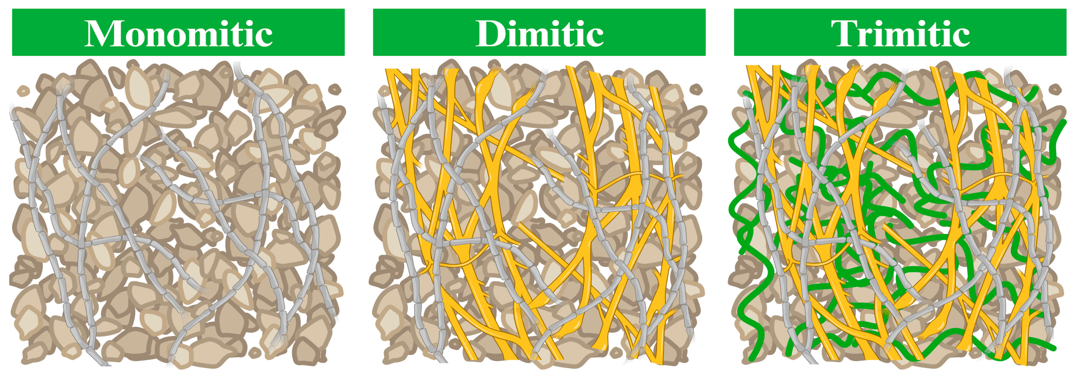 Biomimetics 09 00337 g003