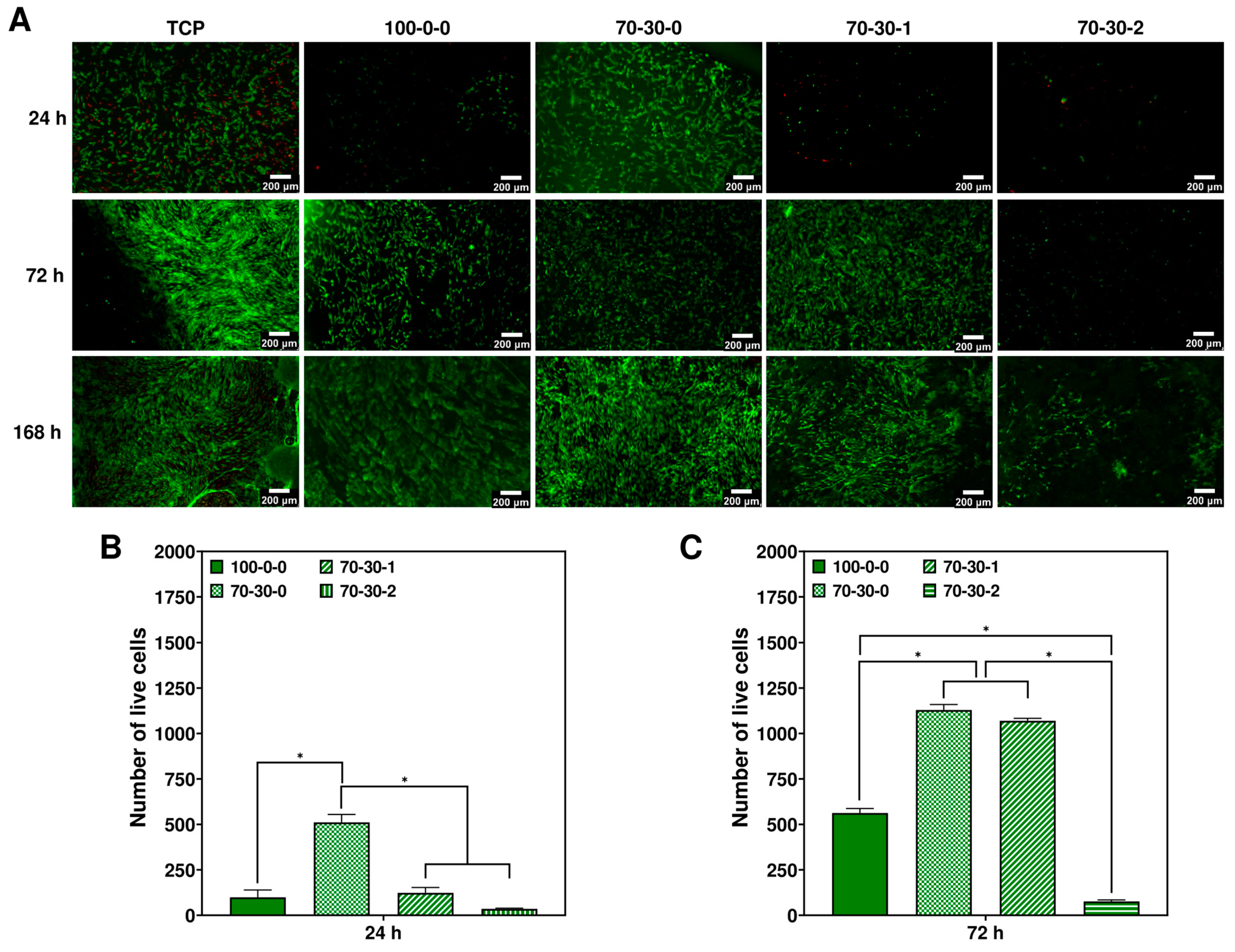 Biomimetics 09 00338 g001