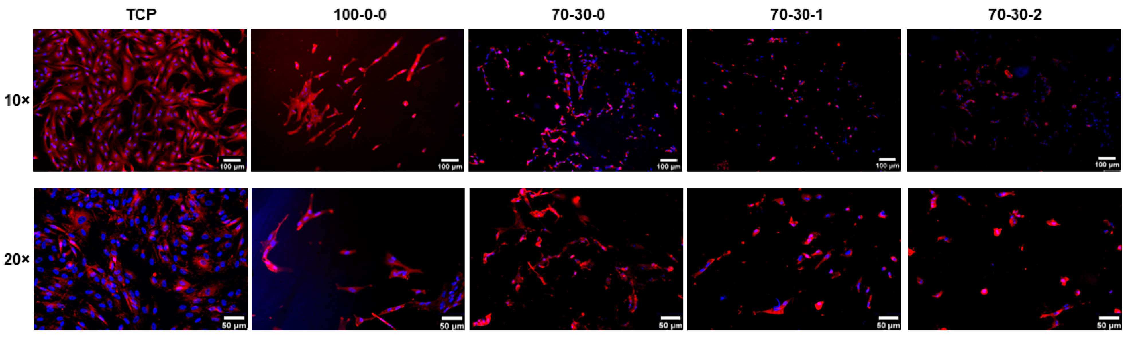 Biomimetics 09 00338 g002