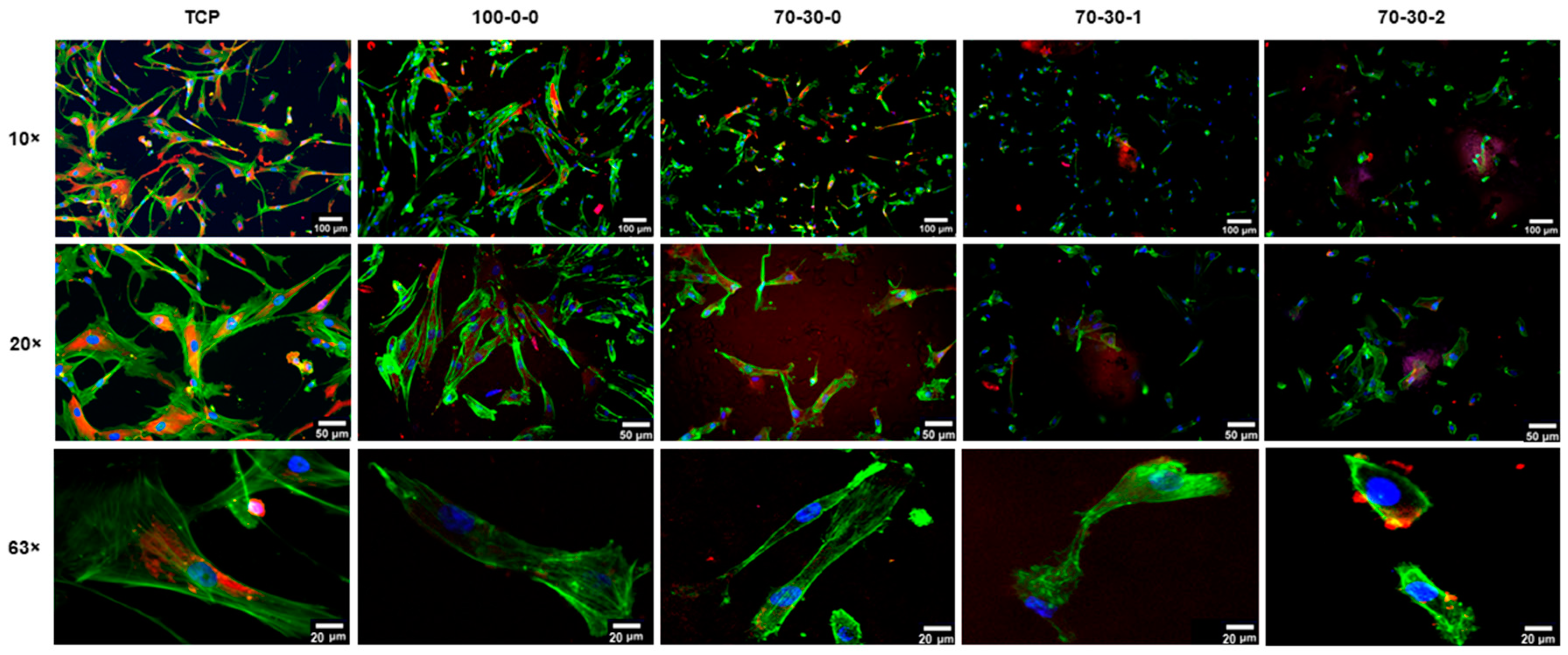 Biomimetics 09 00338 g003