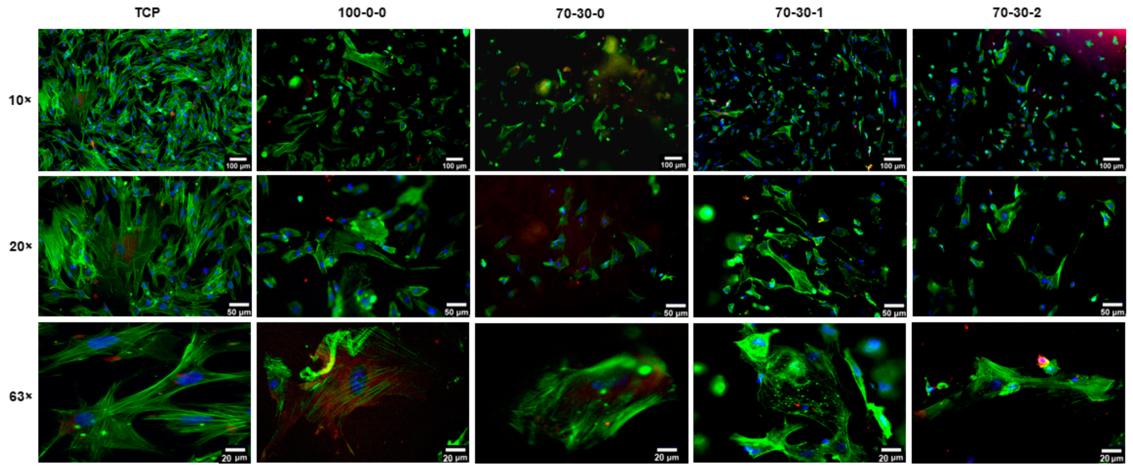 Biomimetics 09 00338 g004