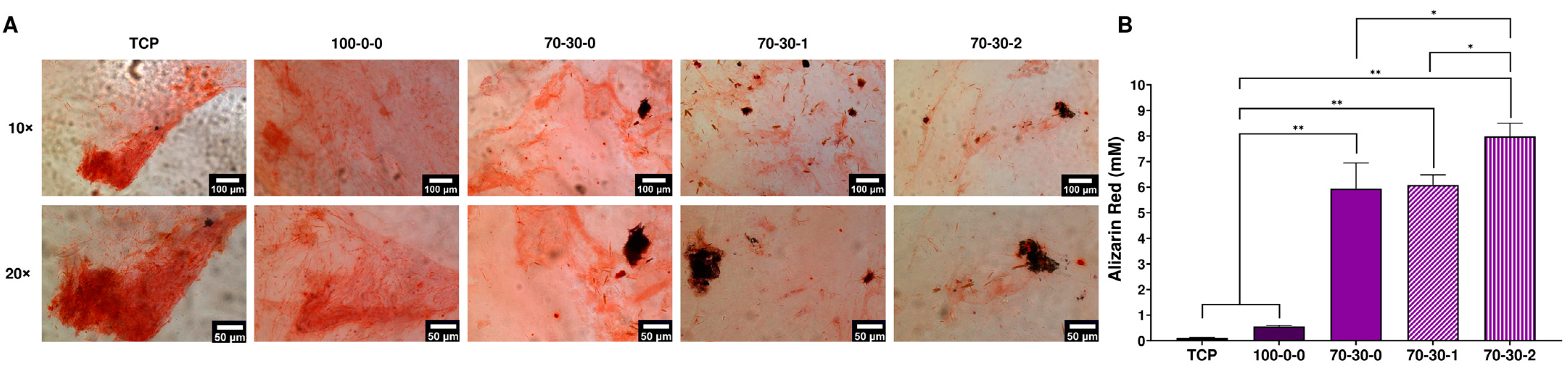 Biomimetics 09 00338 g007