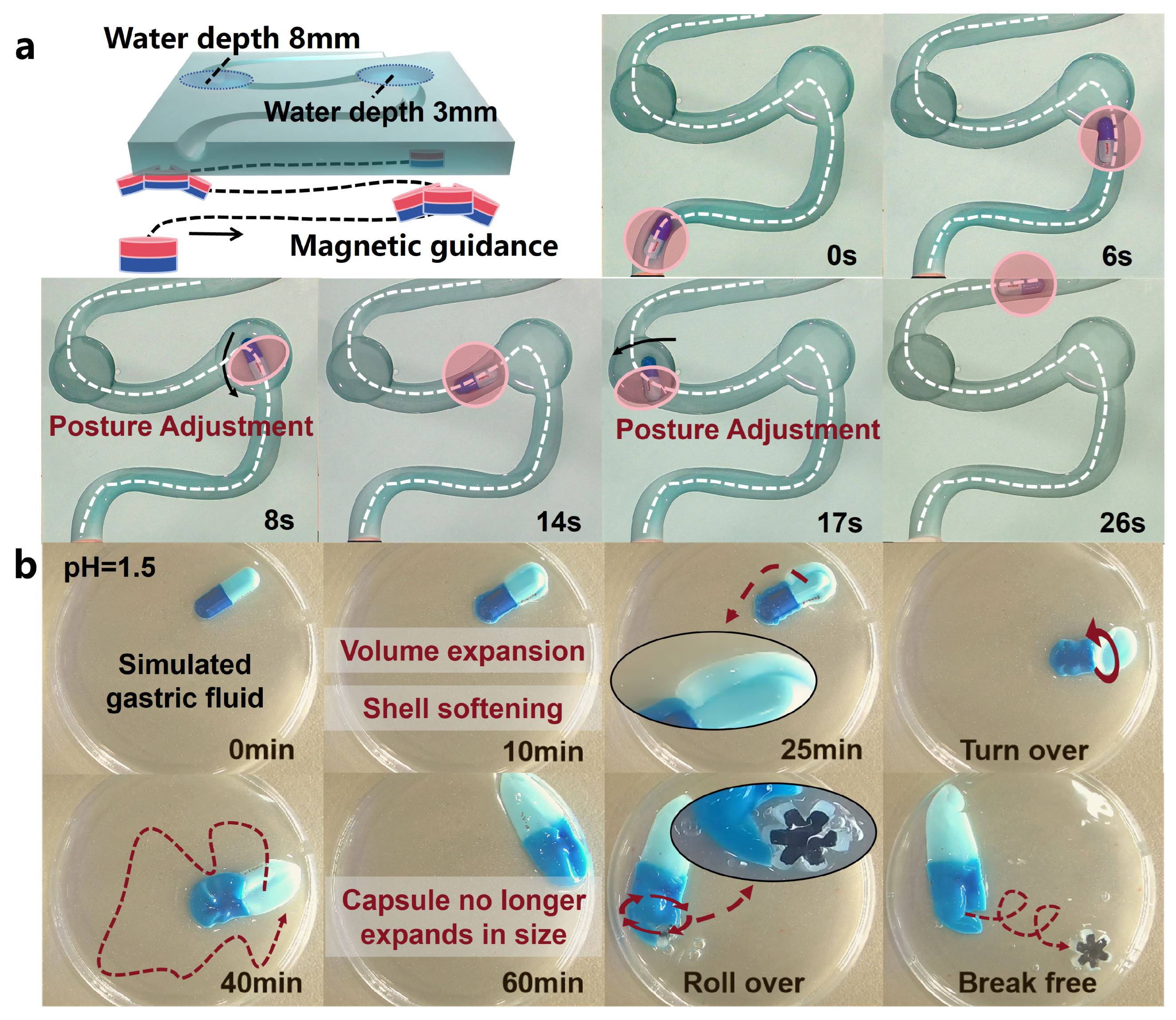 Biomimetics 09 00340 g006