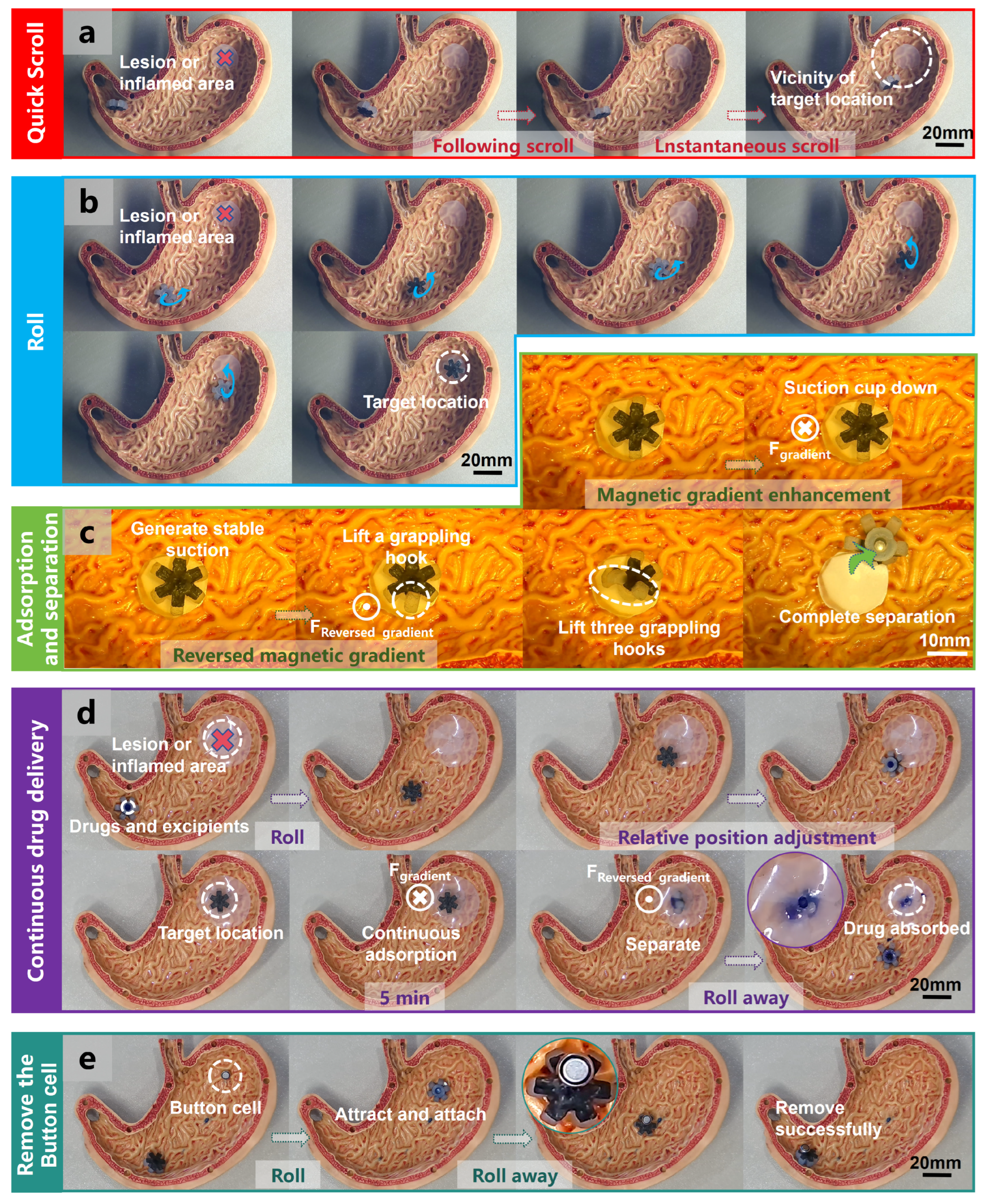 Biomimetics 09 00340 g007