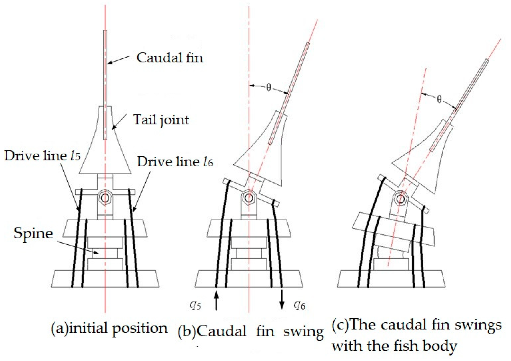 Biomimetics 09 00345 g007