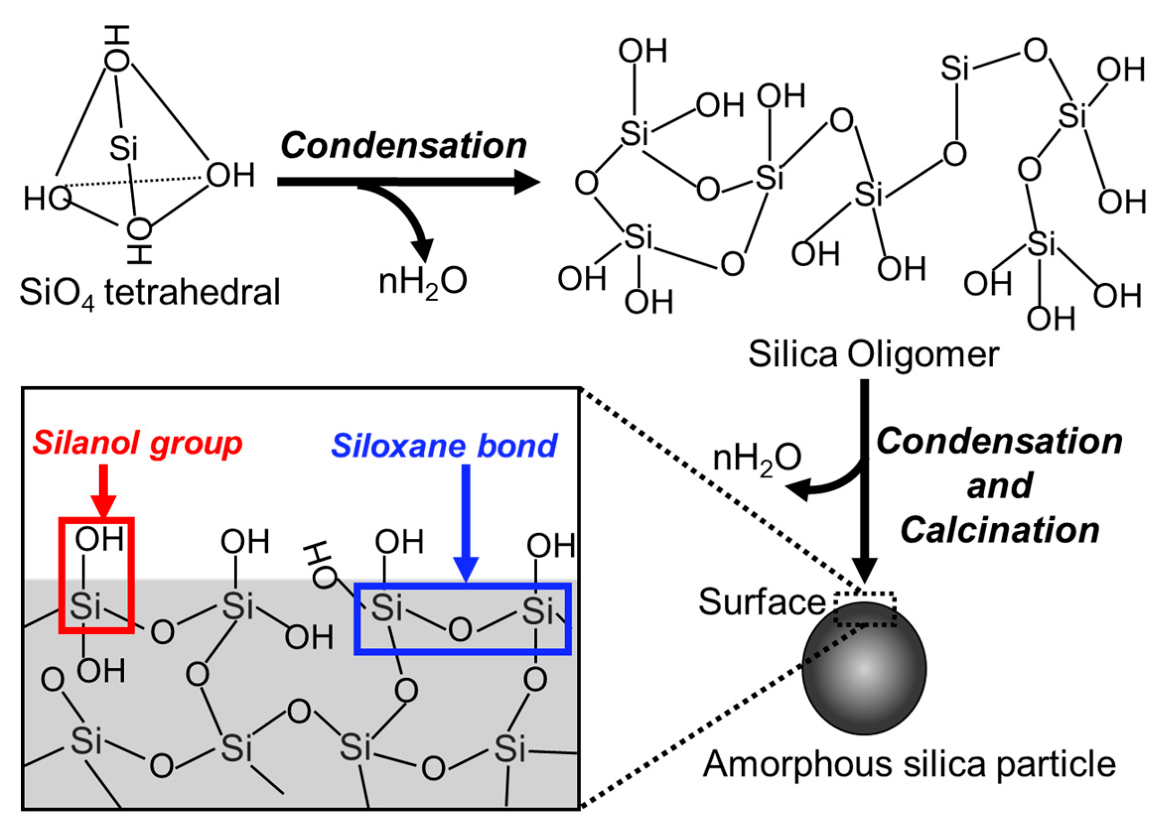 Biomimetics 09 00347 g006 Biomimetics 09 00347 g006