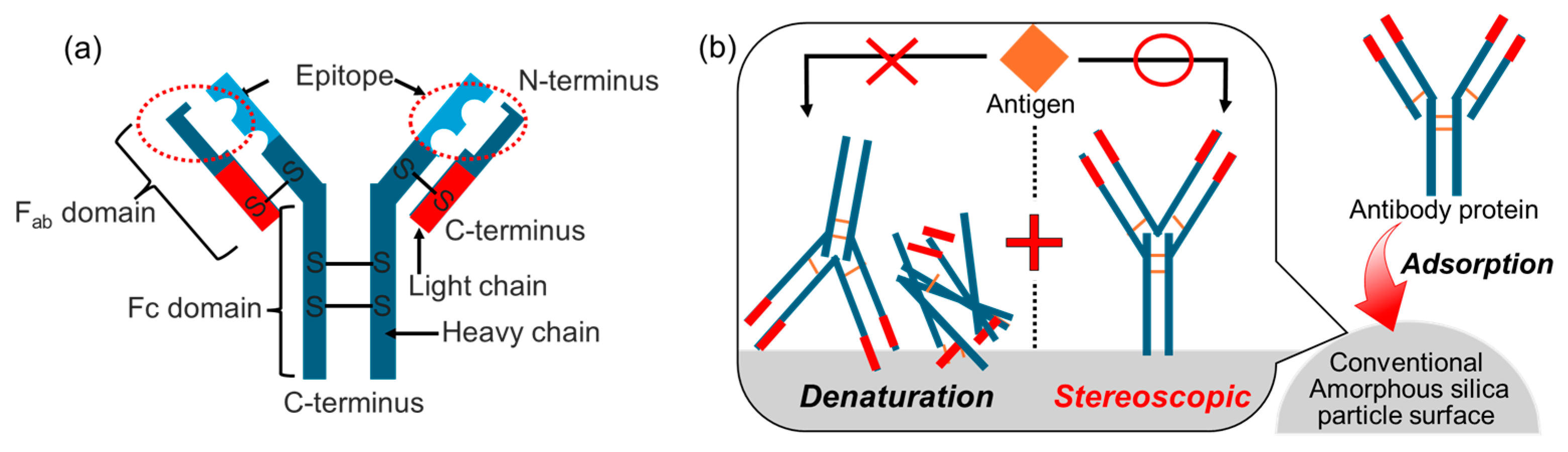 Biomimetics 09 00347 g007 Biomimetics 09 00347 g007