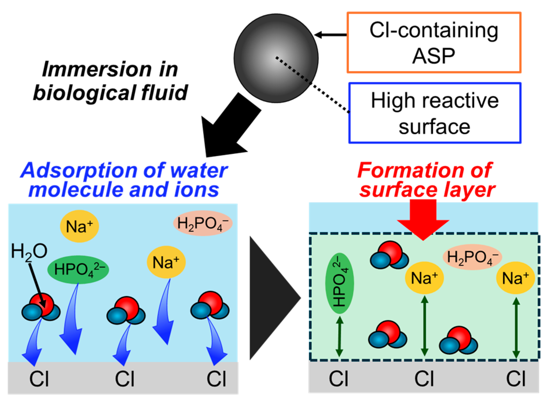 Biomimetics 09 00347 g012 Biomimetics 09 00347 g012