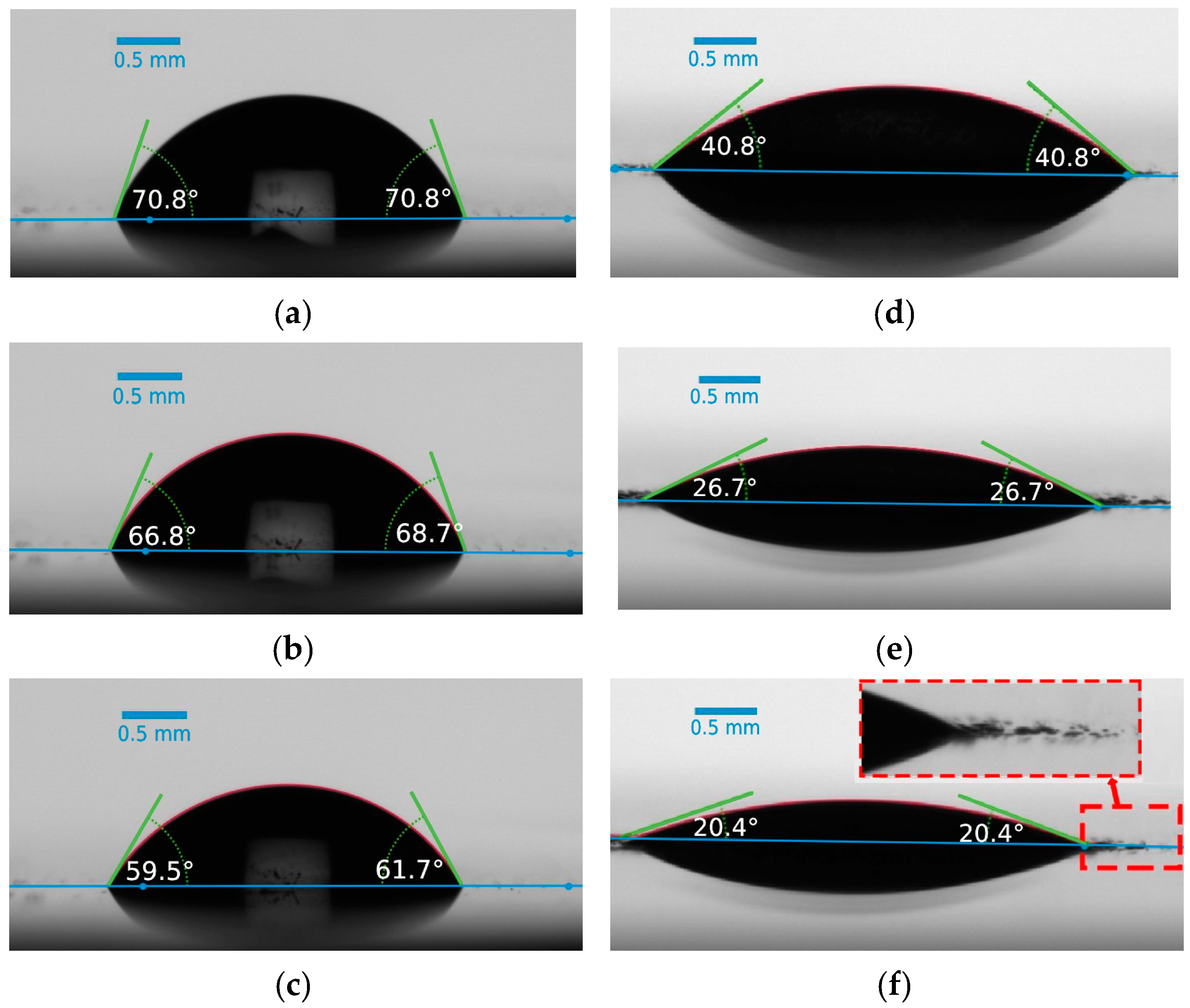 Biomimetics 09 00349 g008