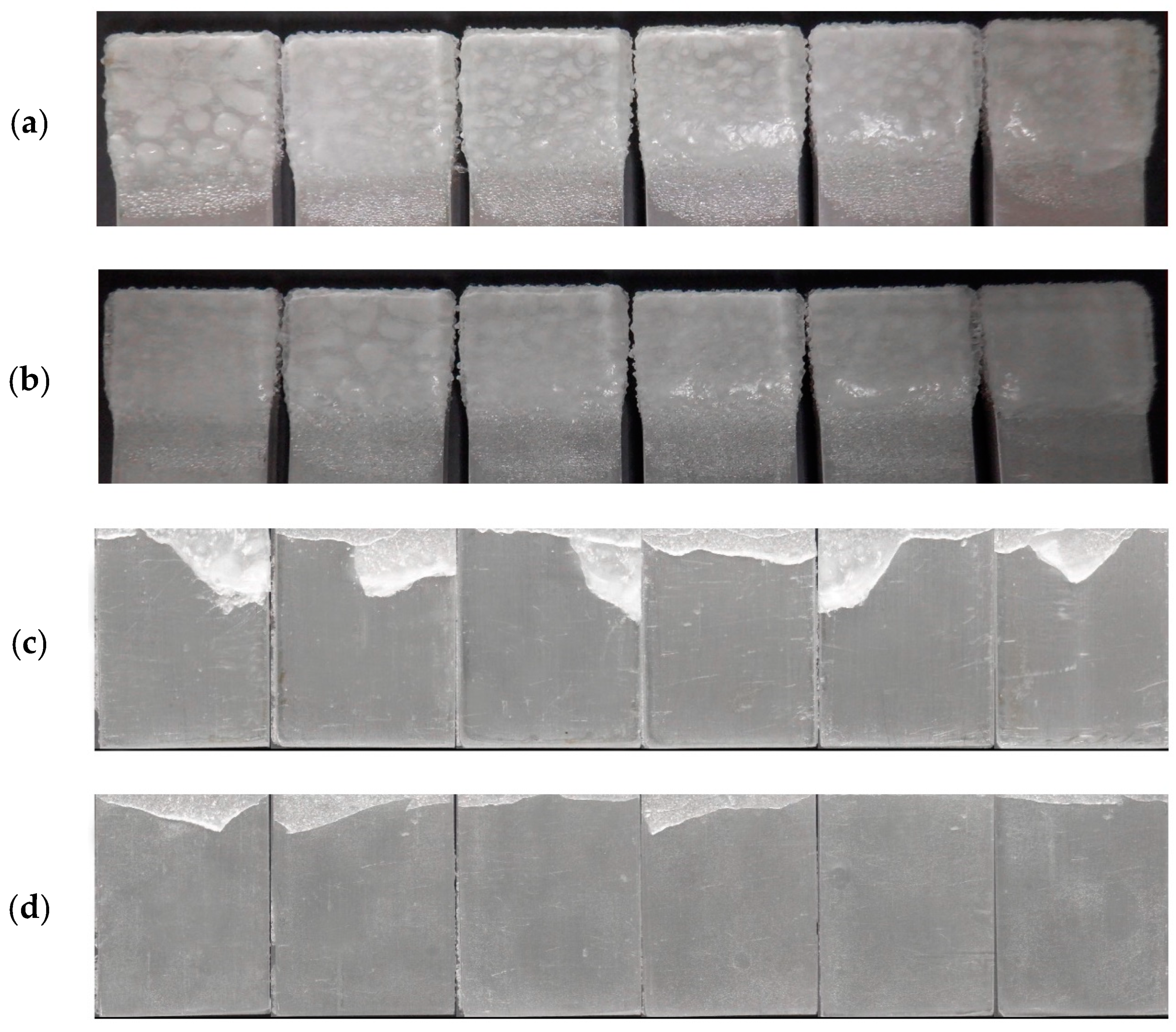 Biomimetics 09 00349 g015