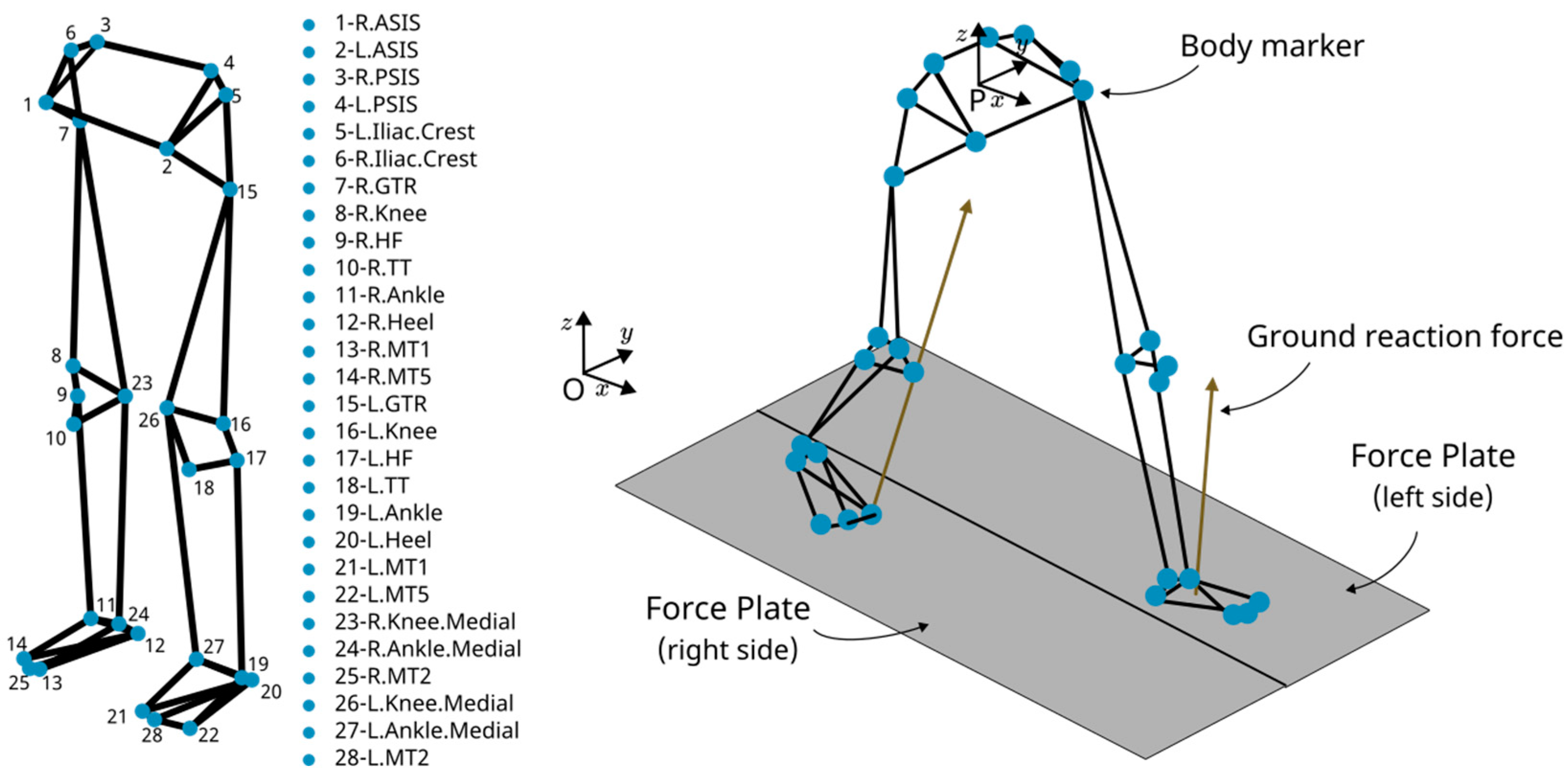 Biomimetics 09 00352 g001