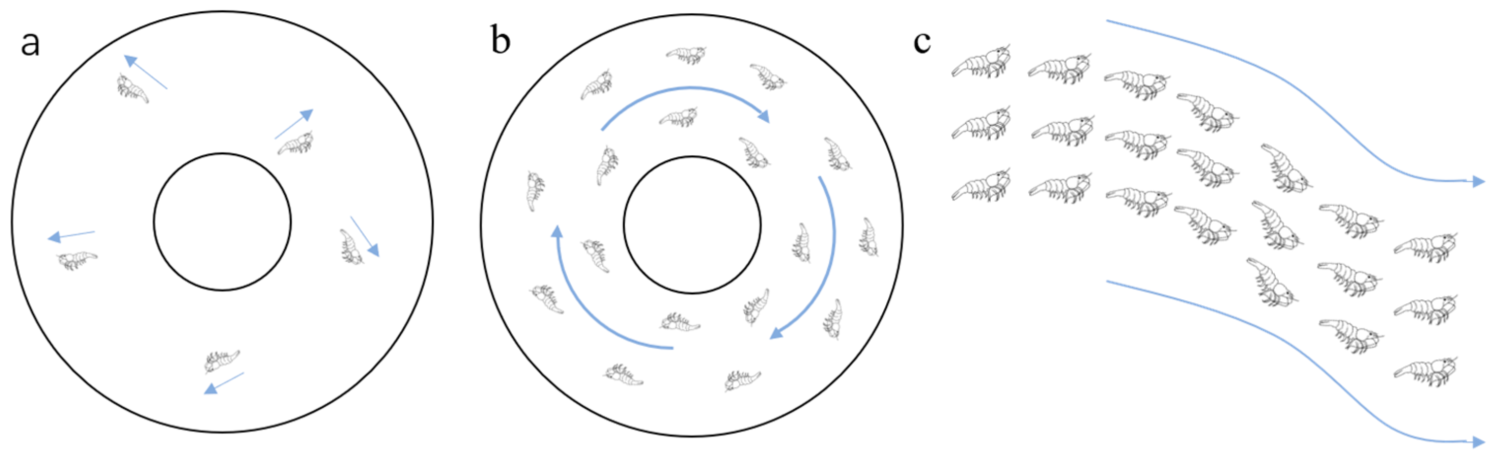 Biomimetics 09 00353 g002