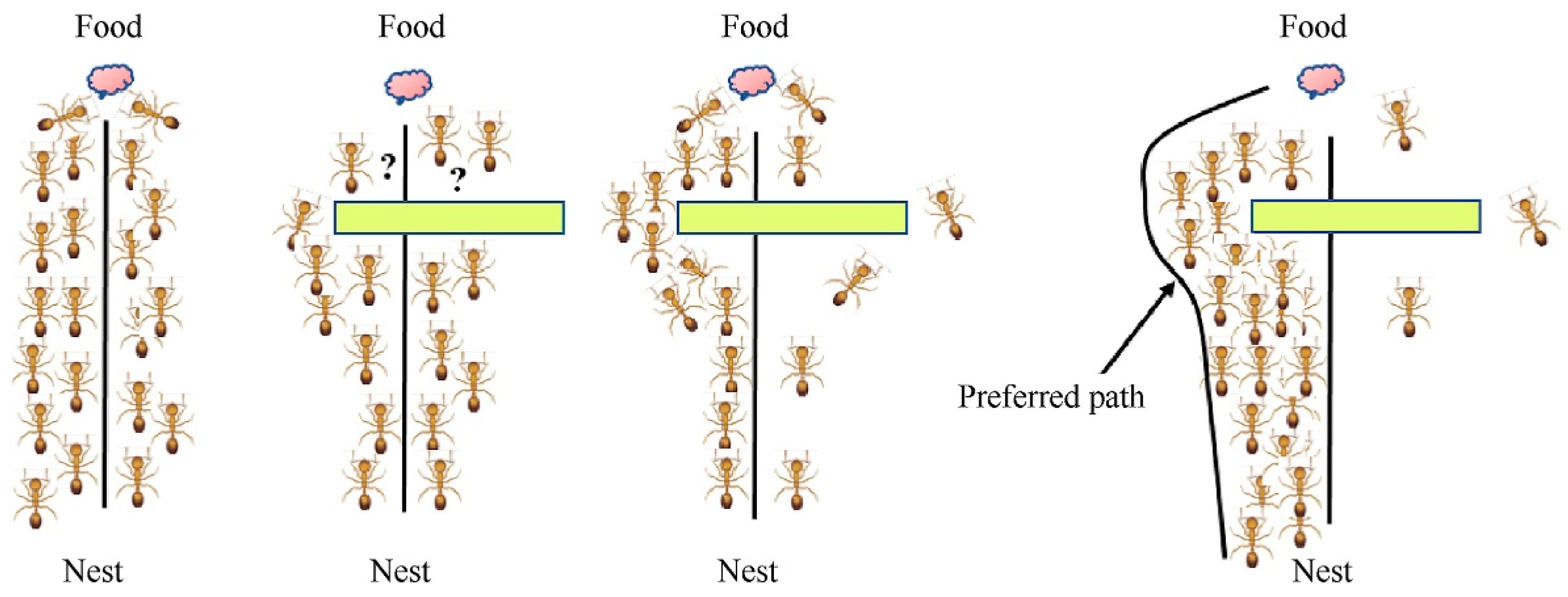Biomimetics | Free Full-Text | Bionic 3D Path Planning for Plant ...