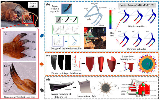 Biomimetic Design of Soil-Engaging Components: A Review