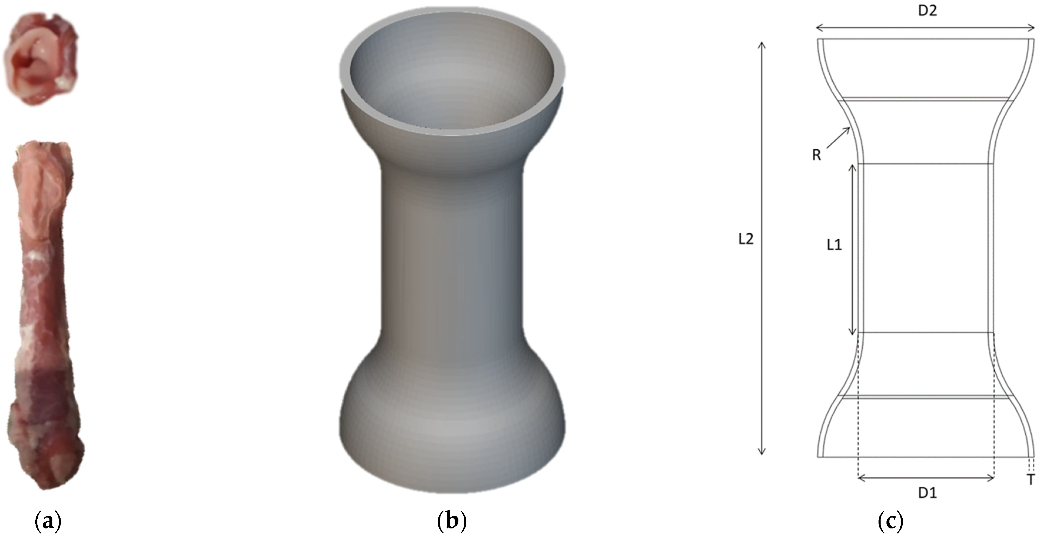 Biomimetics 09 00359 g001a