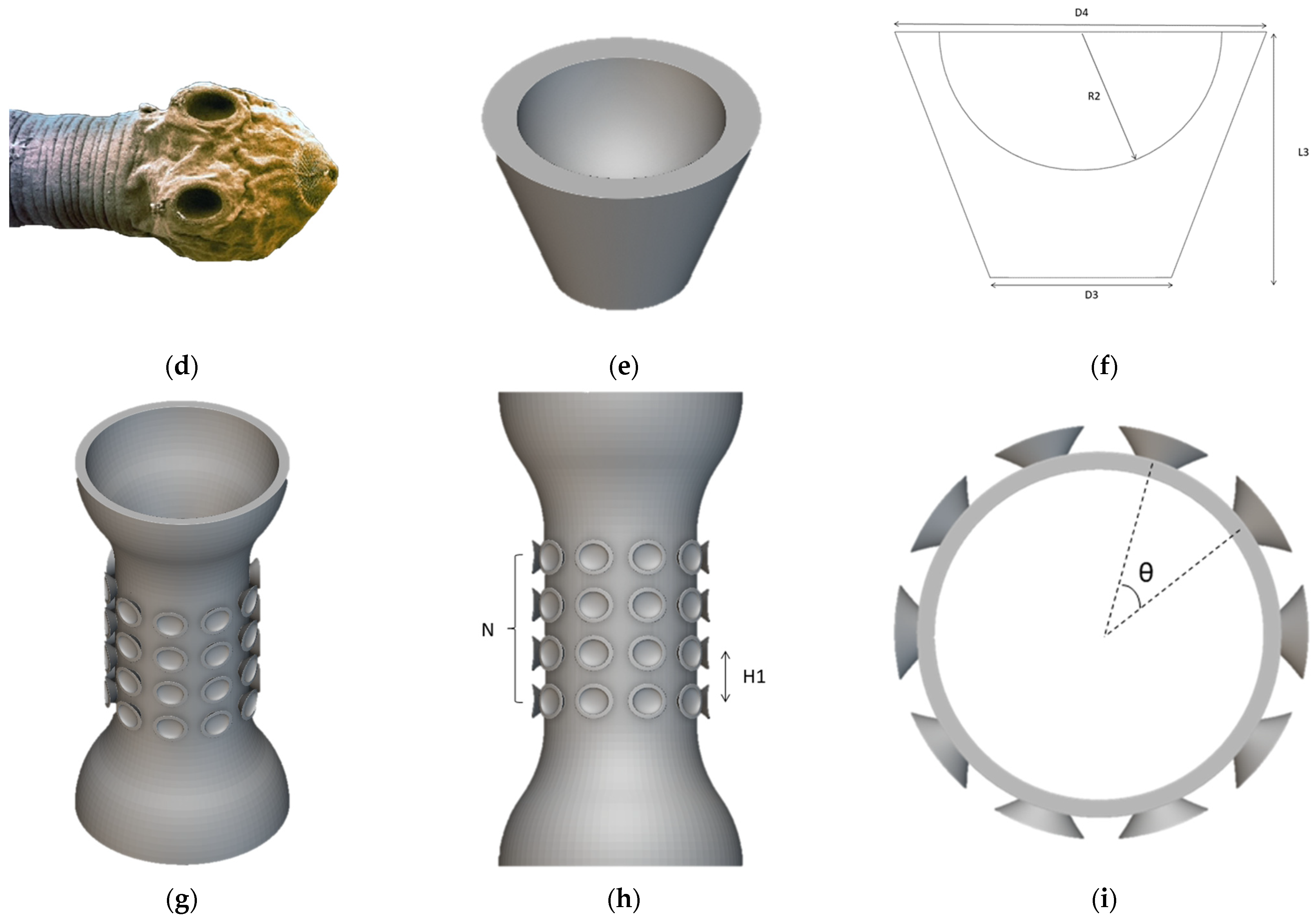 Biomimetics 09 00359 g001b