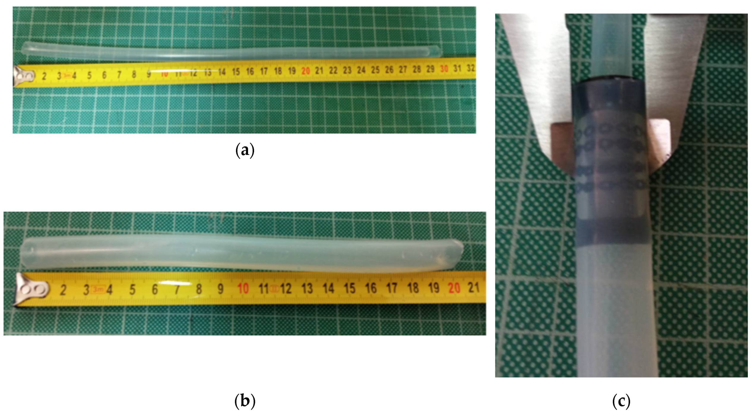 Biomimetics 09 00359 g004