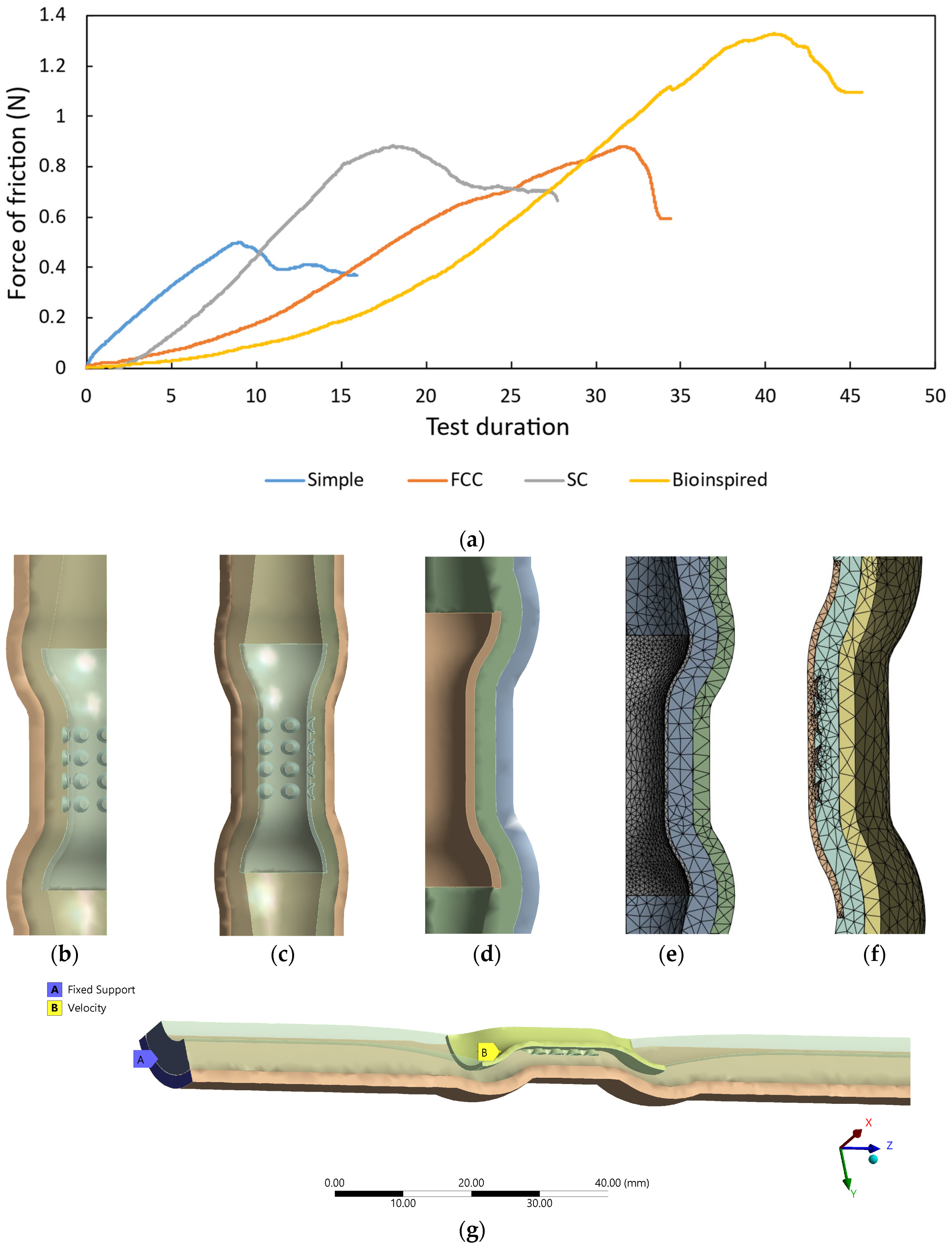 Biomimetics 09 00359 g010