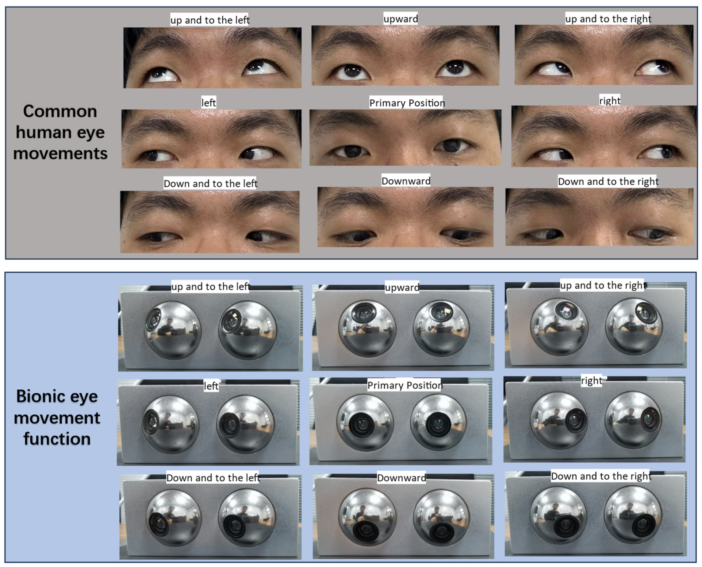 Biomimetics 09 00371 g001
