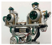 Biomimetics 09 00371 i010