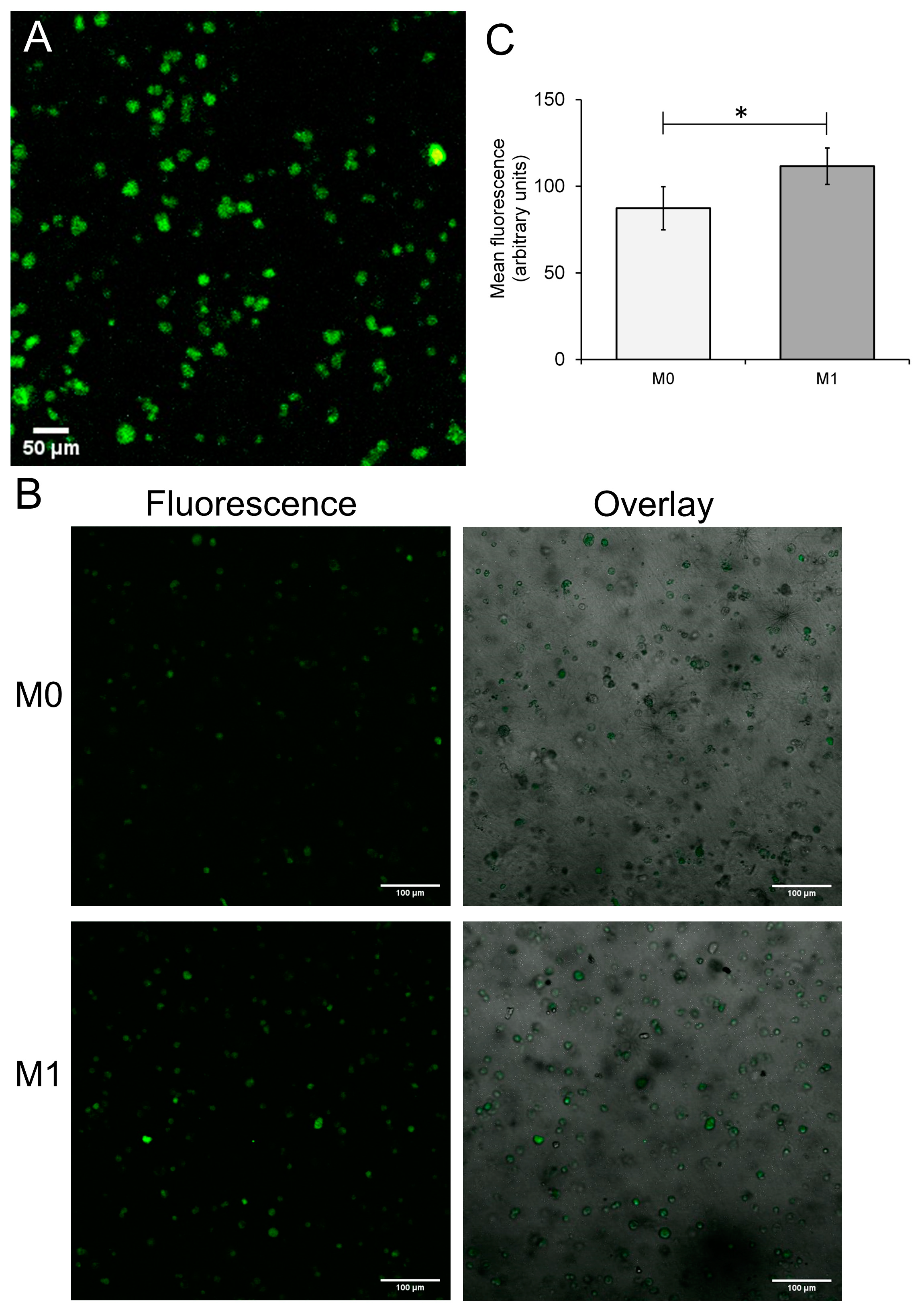 Biomimetics 09 00372 g002 Biomimetics 09 00372 g002
