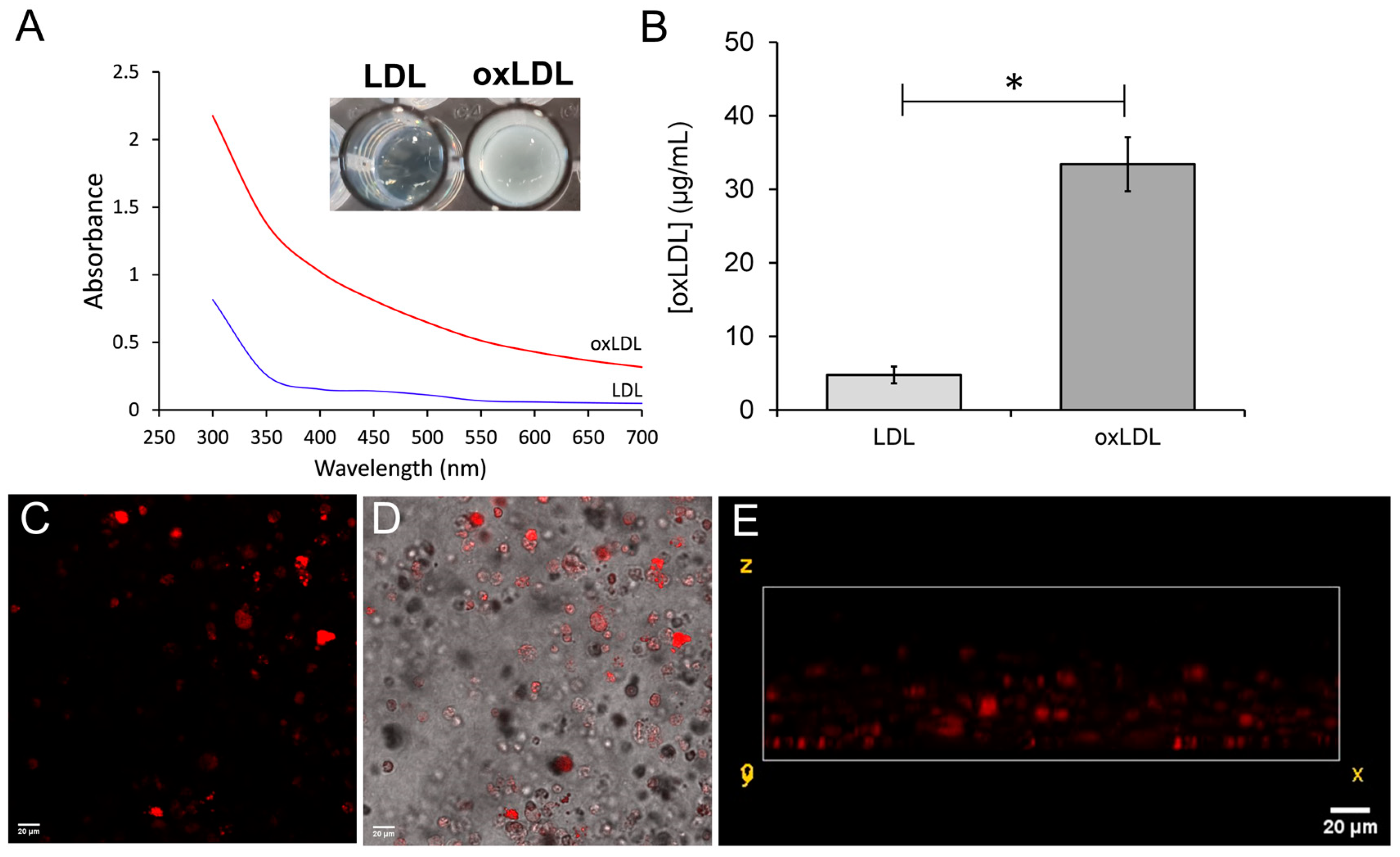 Biomimetics 09 00372 g003 Biomimetics 09 00372 g003