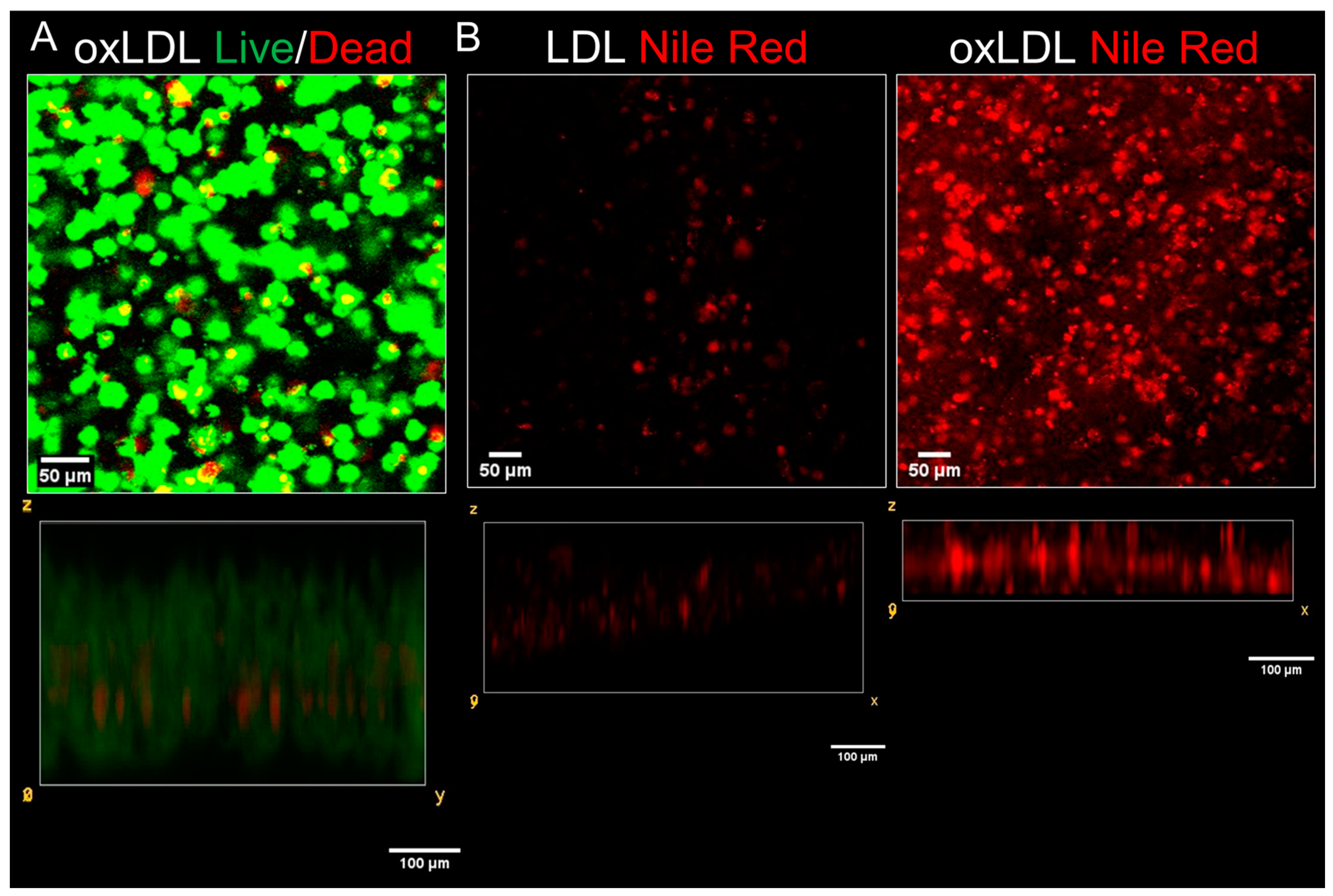 Biomimetics 09 00372 g004 Biomimetics 09 00372 g004