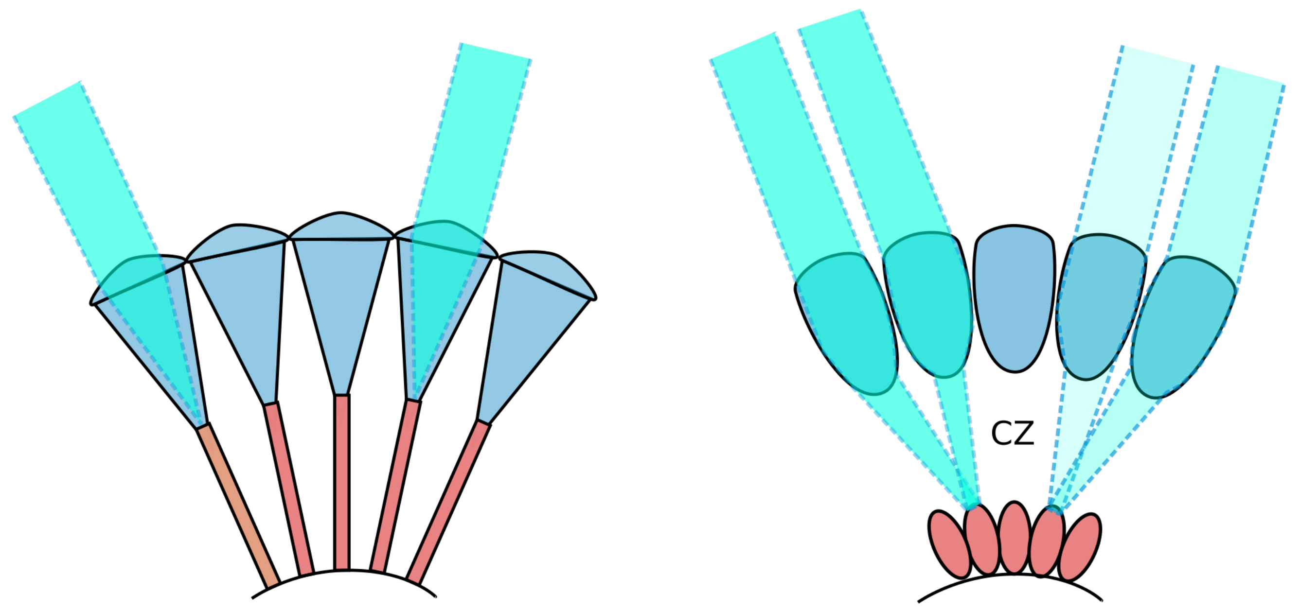 Biomimetics 09 00375 g002