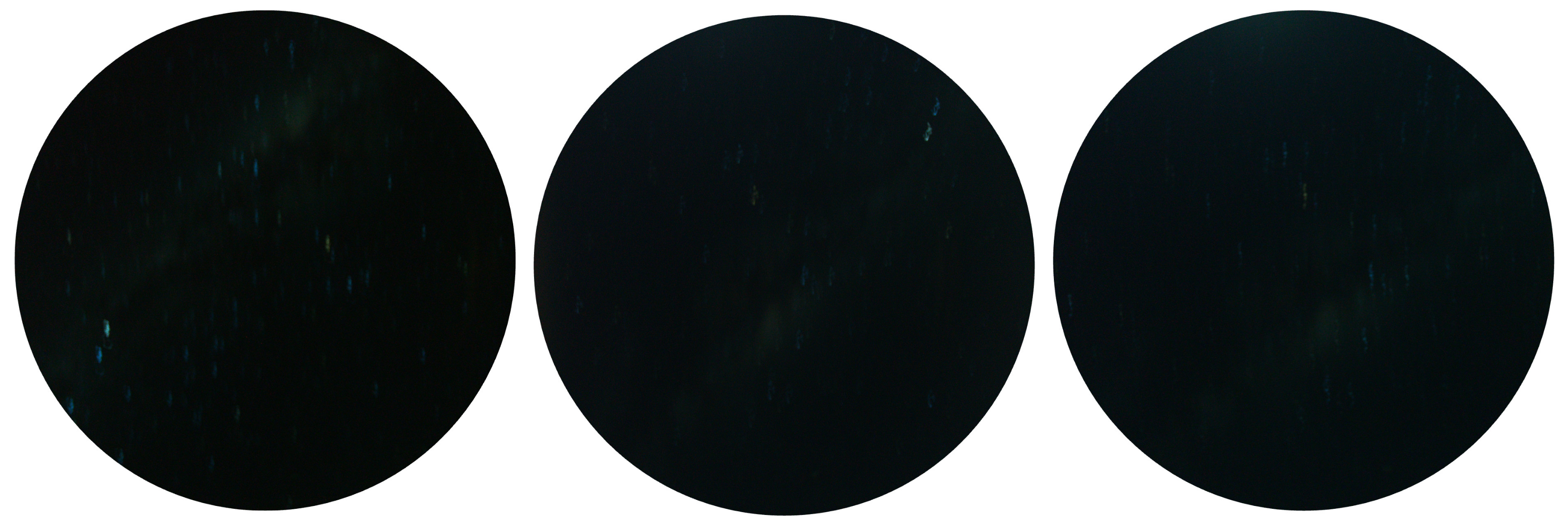 Biomimetics 09 00375 g005