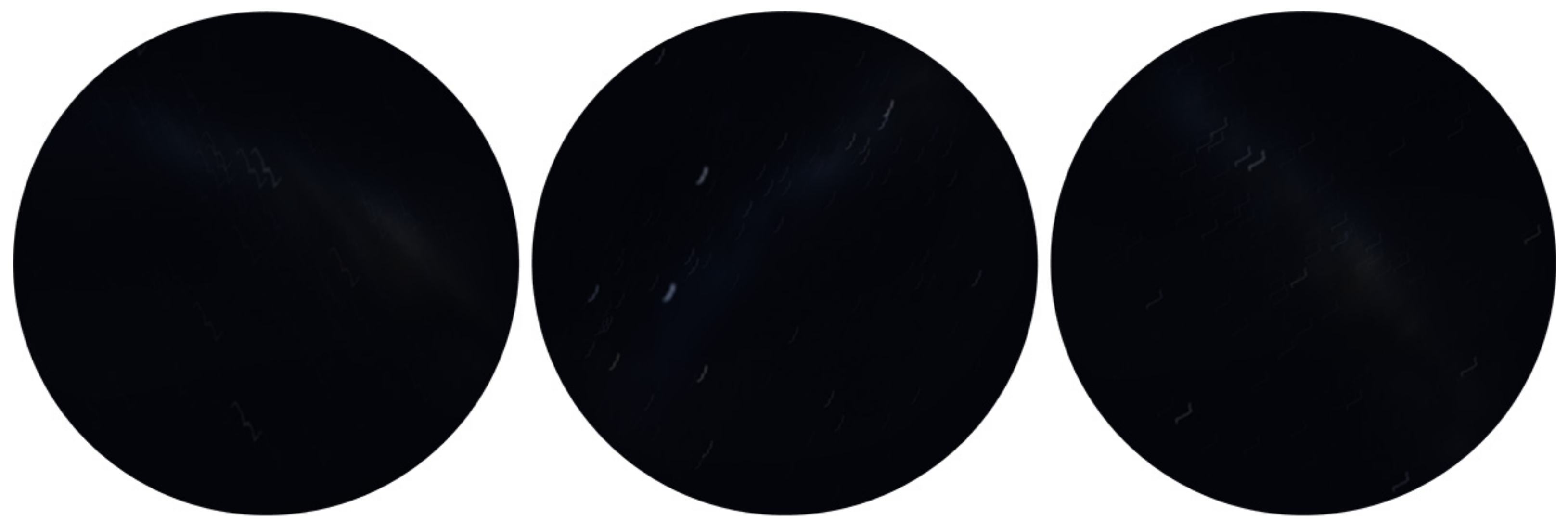 Biomimetics 09 00375 g006