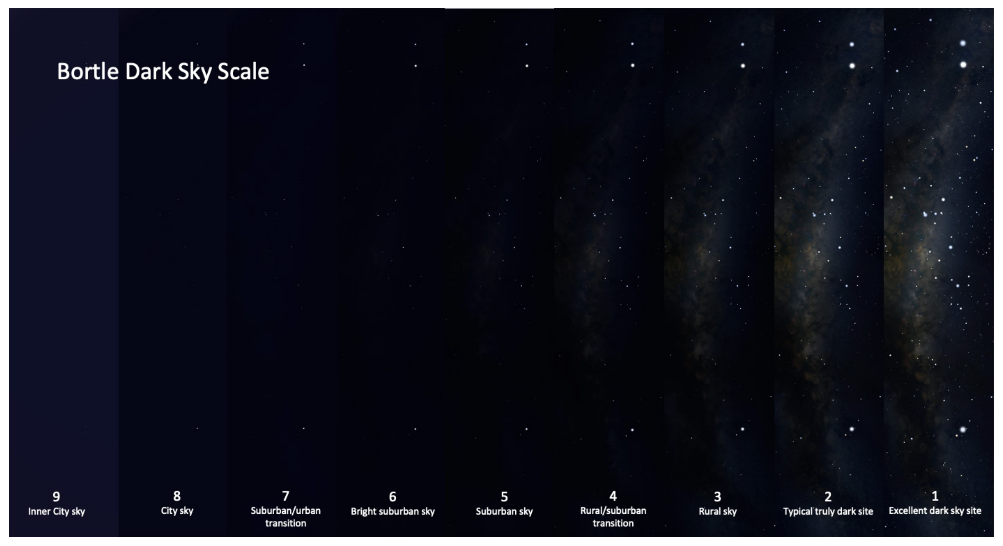 Biomimetics 09 00375 g007