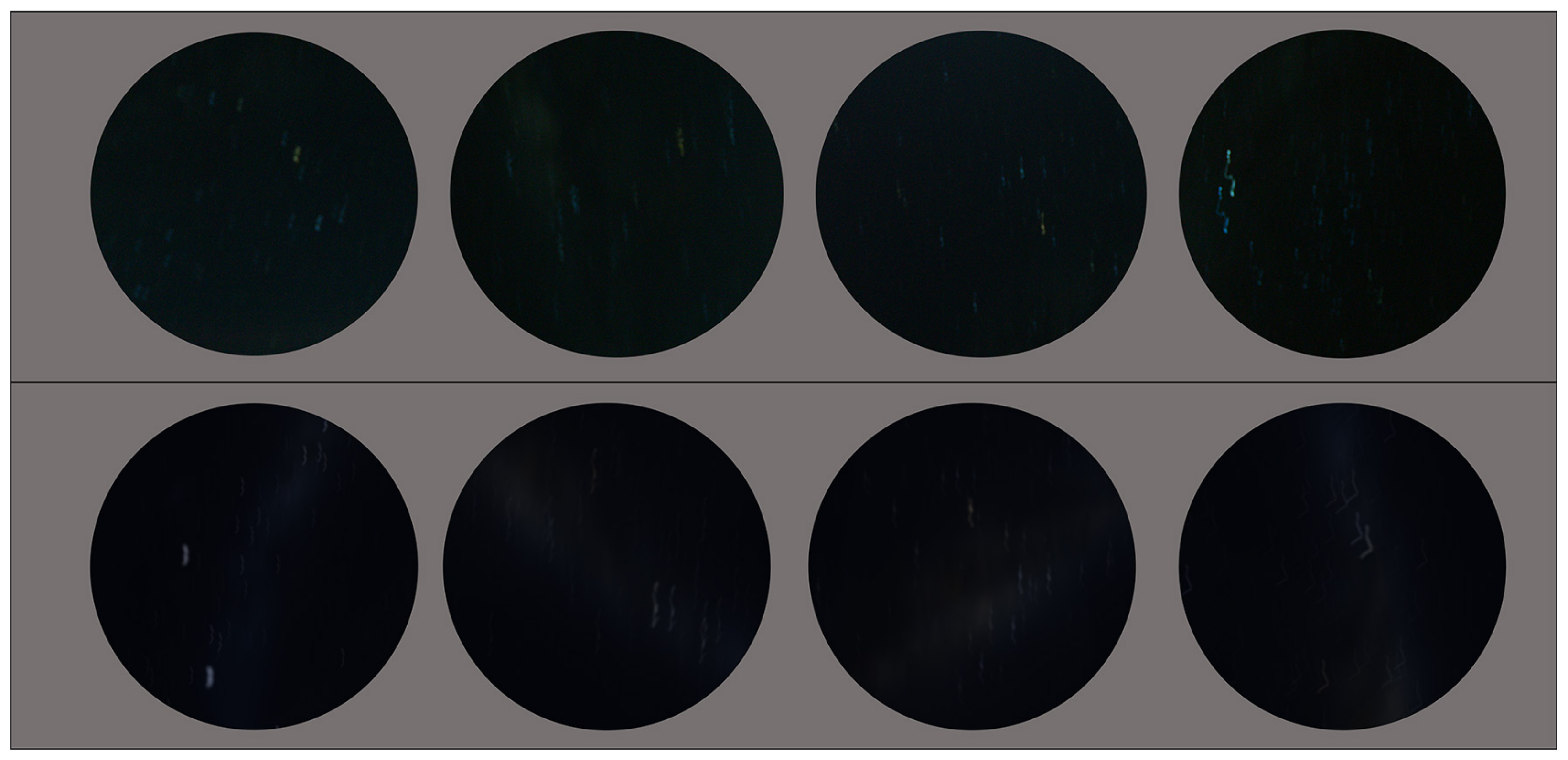 Biomimetics 09 00375 g009