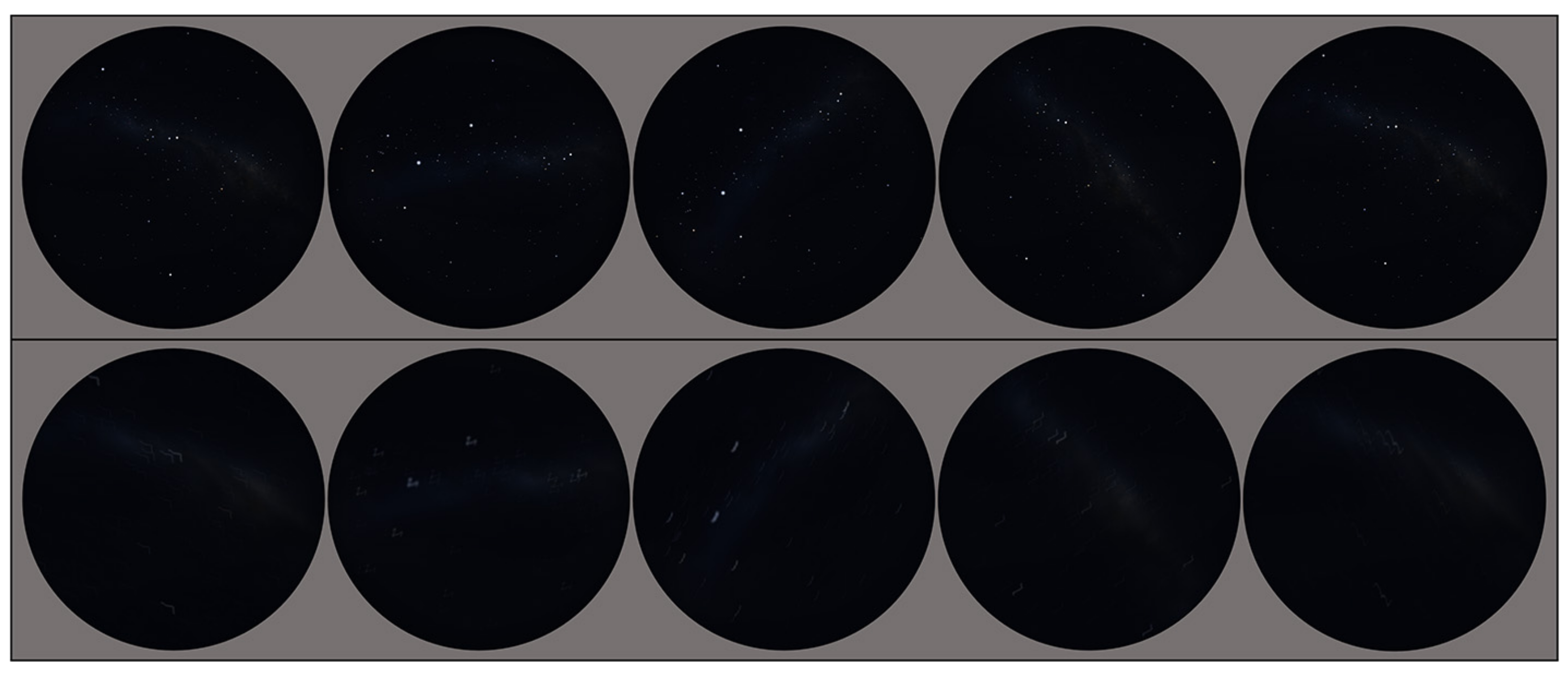 Biomimetics 09 00375 g010