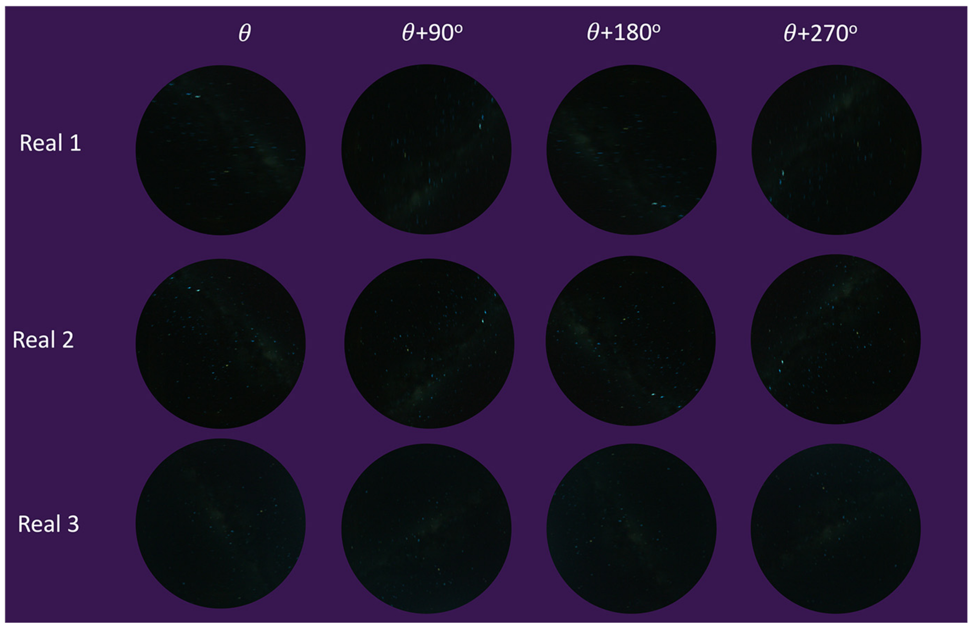 Biomimetics 09 00375 g018