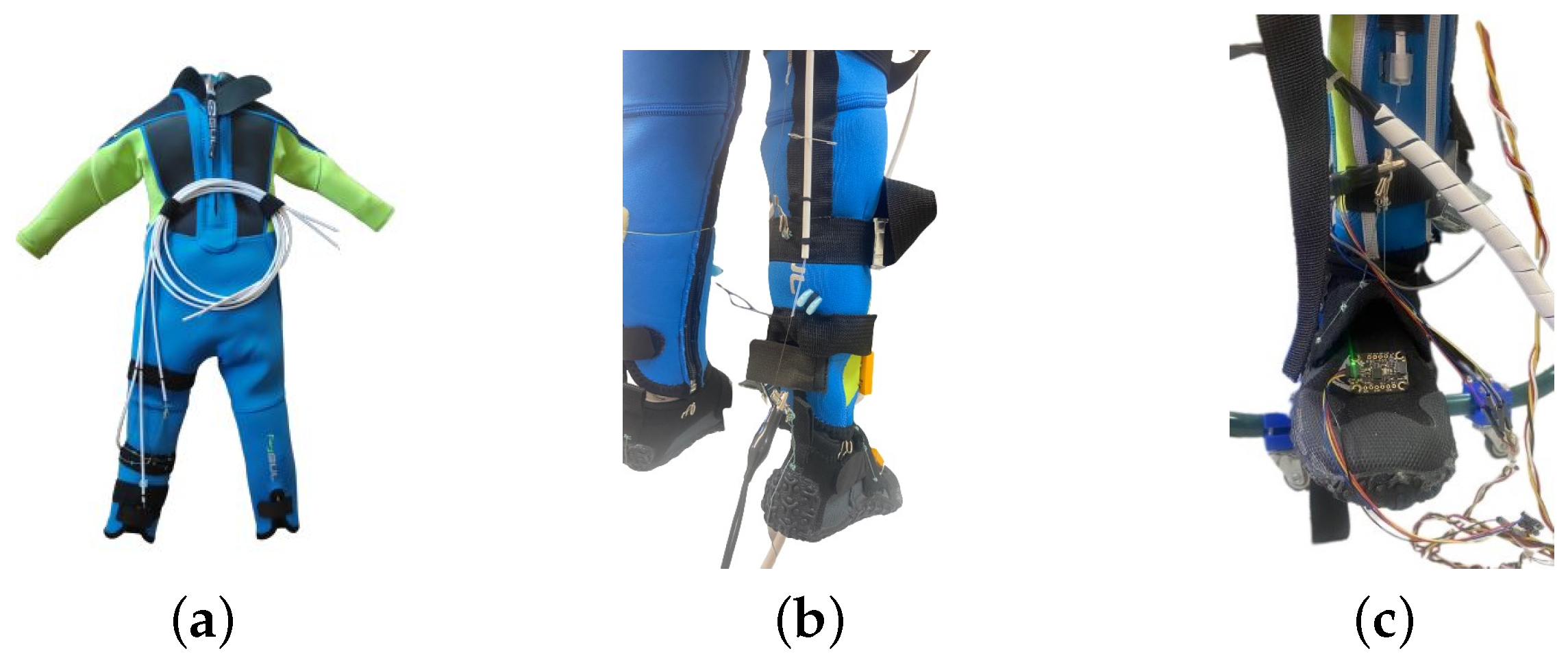 Biomimetics 09 00376 g004