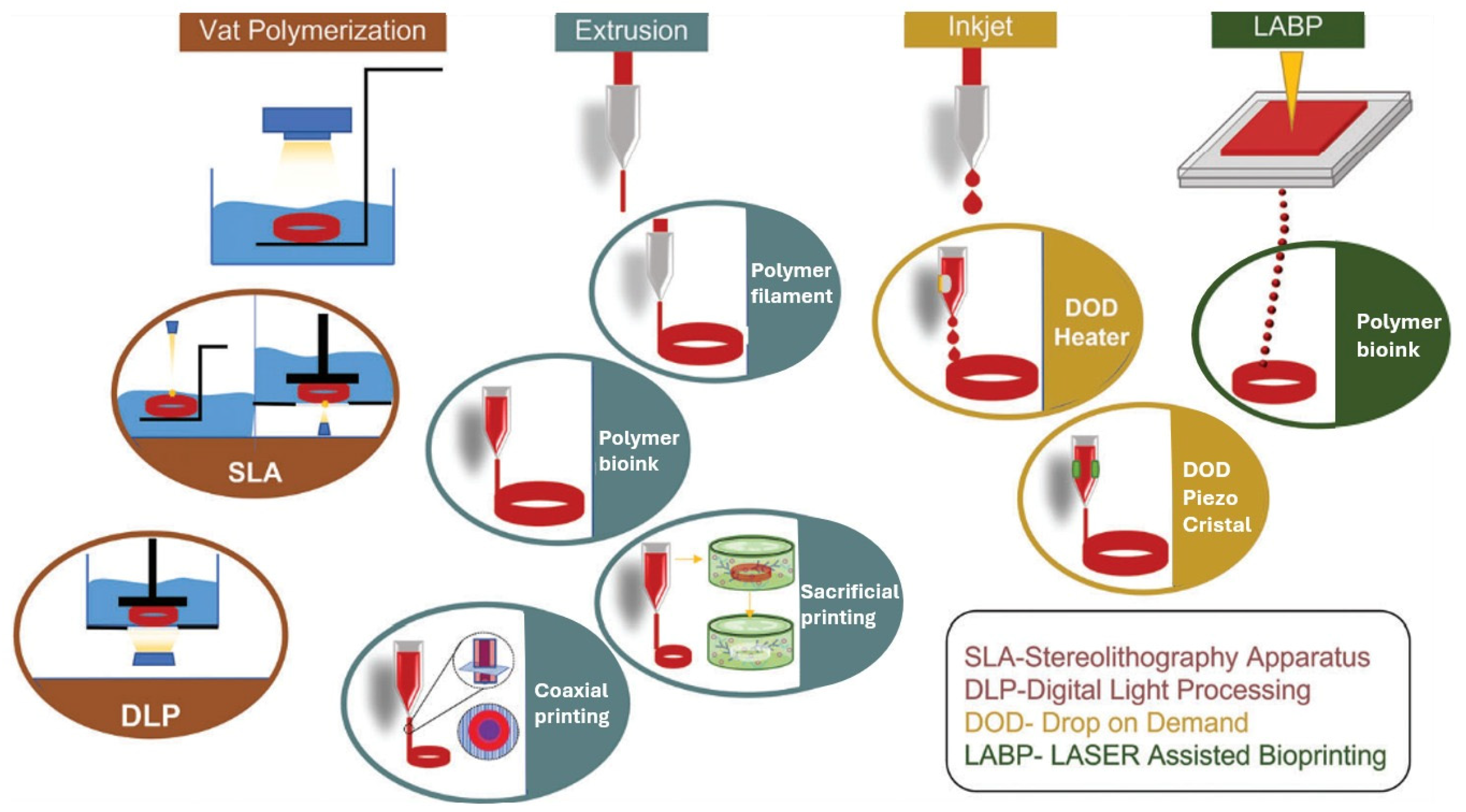 Biomimetics 09 00377 g005
