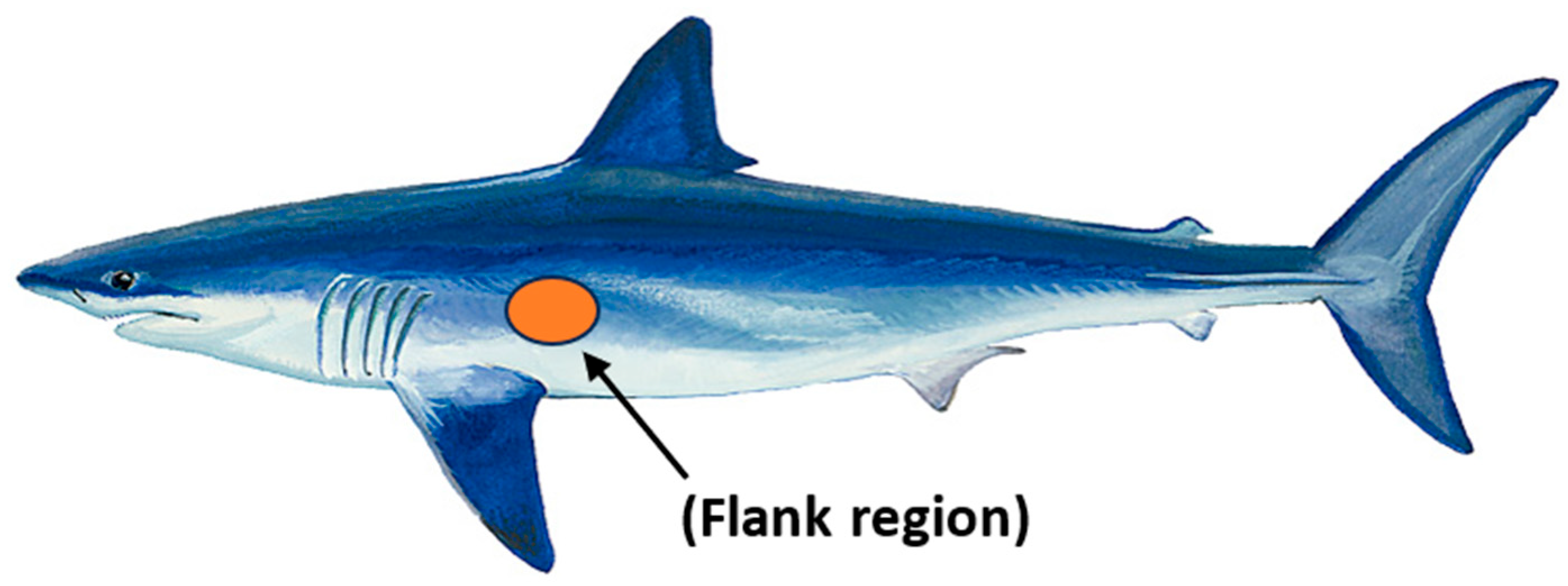 Biomimetics 09 00378 g002