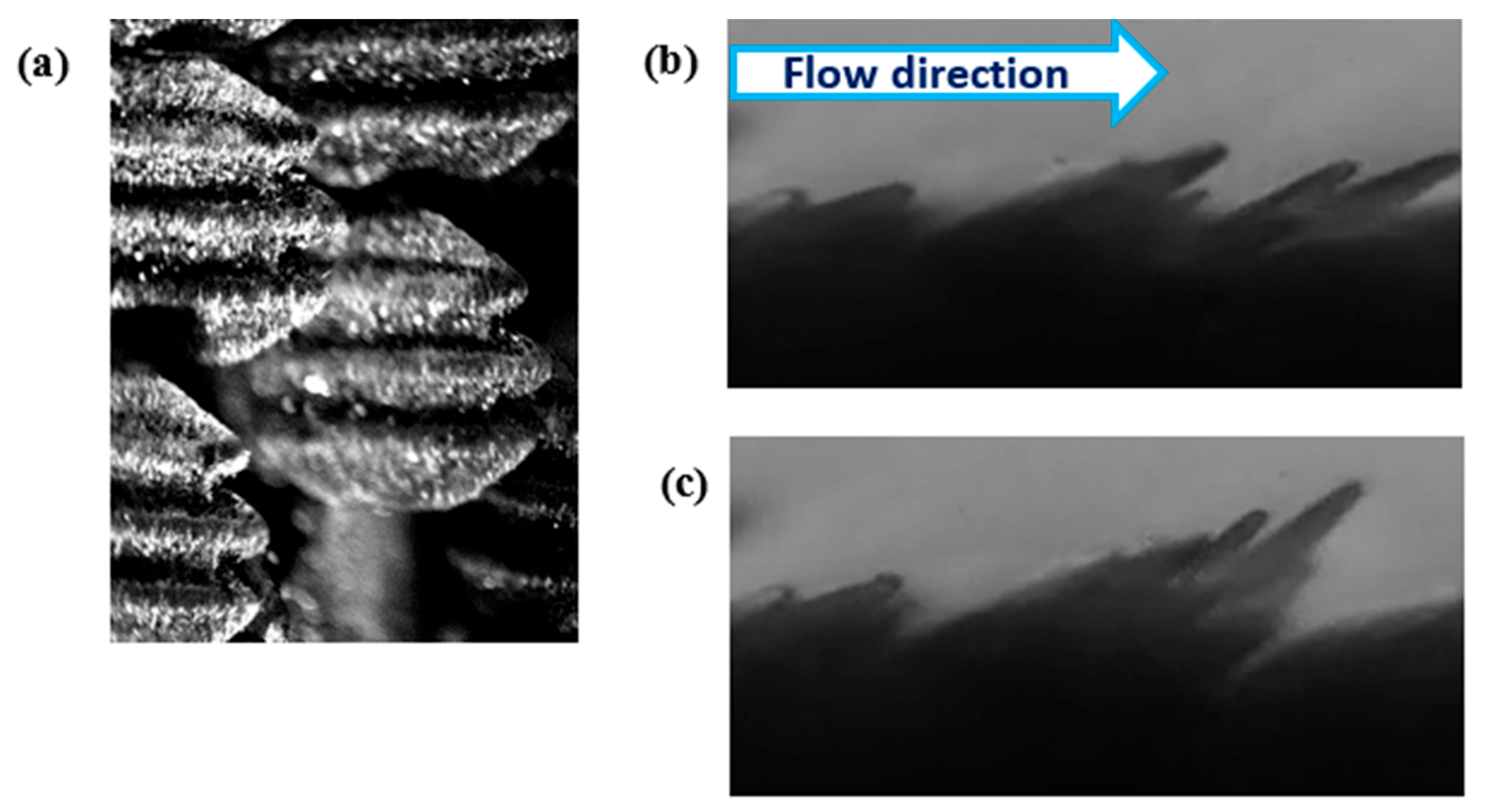 Biomimetics 09 00378 g020